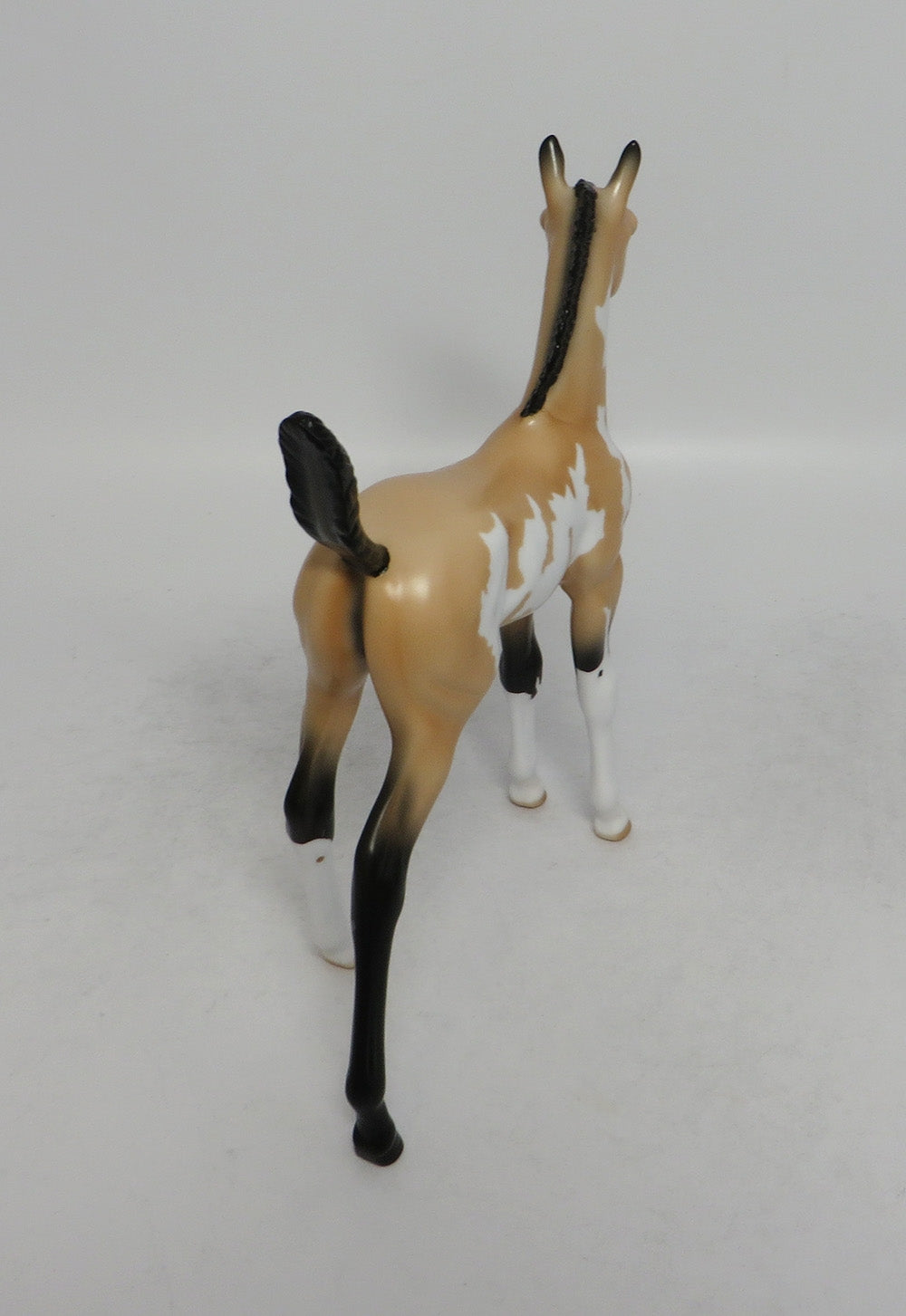 BISCOTTI-LE.7 BUCKSKIN OVERO ARABIAN FOAL MODEL HORSE BY TANSLEY HENLINE 6/8/18