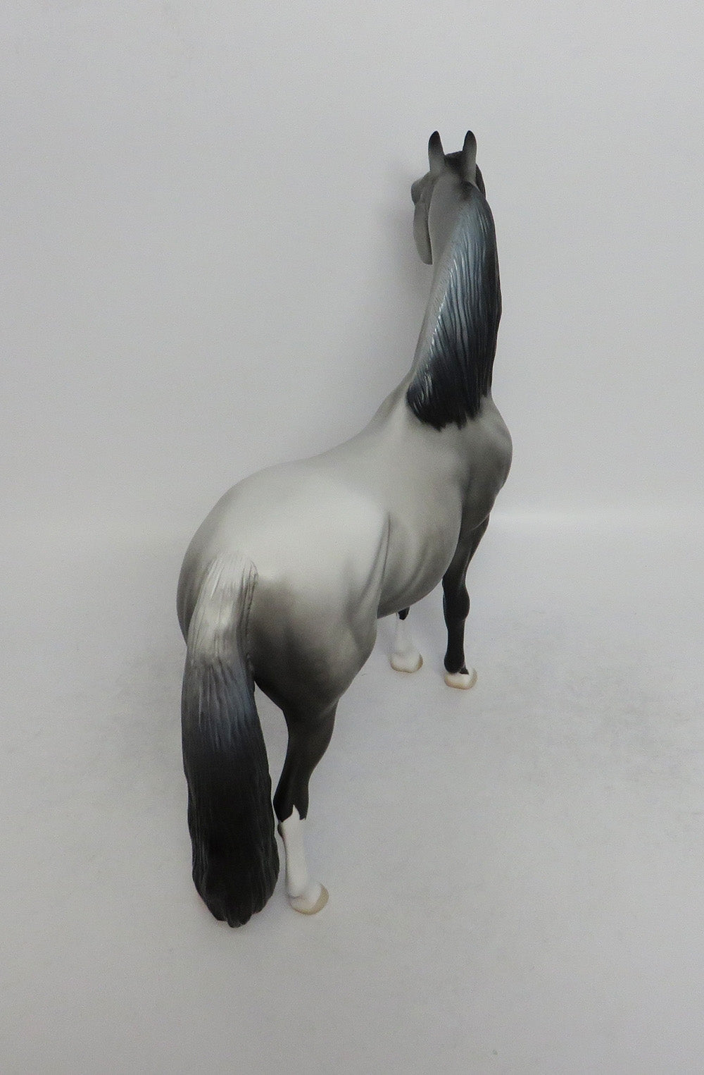 NIGHTWING-OOAK CUATOM DAPPLE GREY MORGAN MODEL HORSE BY DAWN QUICK 6/8/18