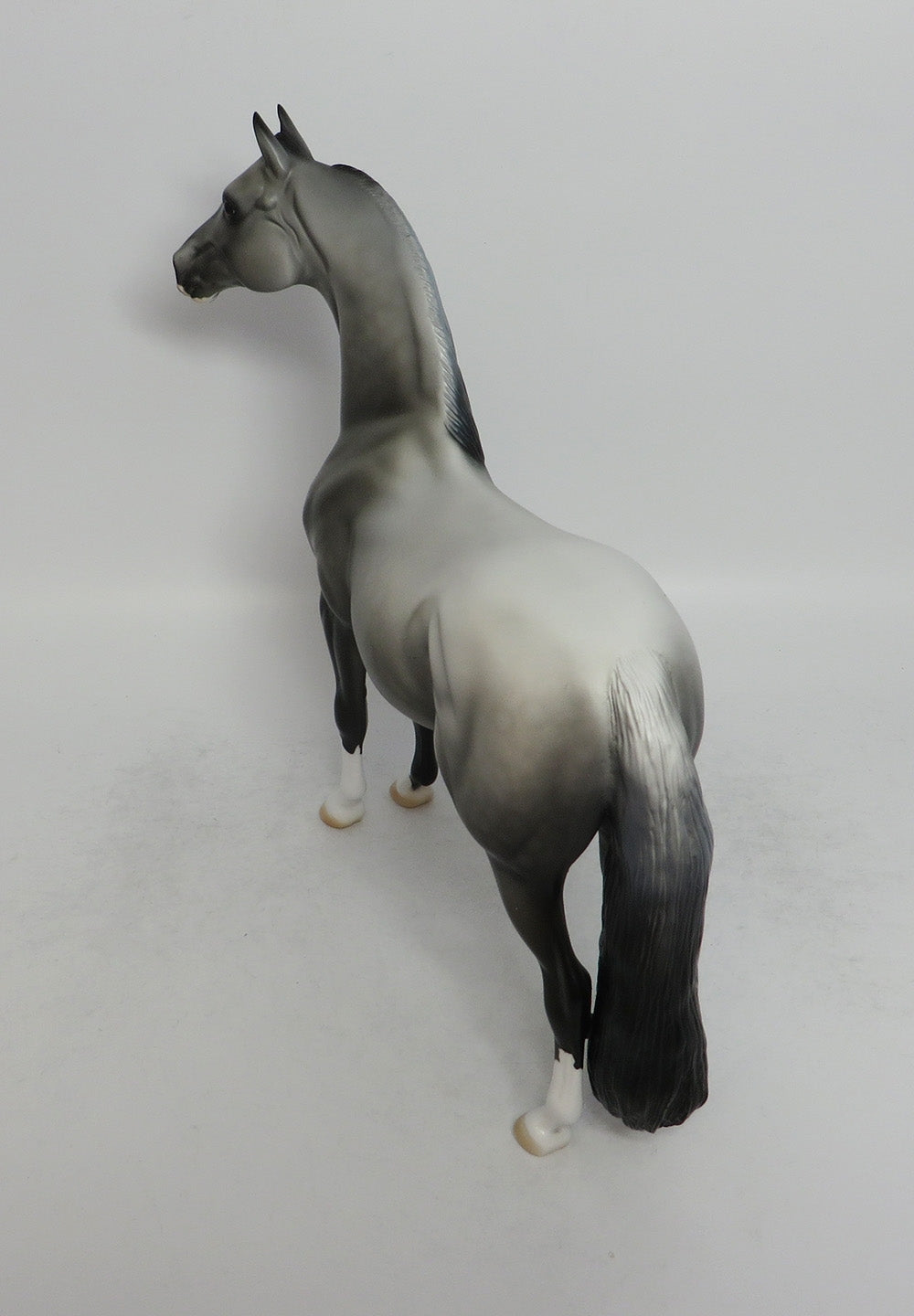 NIGHTWING-OOAK CUATOM DAPPLE GREY MORGAN MODEL HORSE BY DAWN QUICK 6/8/18