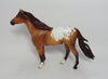 ZARTAN-OOAK RED DUN APPALOOSA MUSTANG MODEL HORSE BY TANSLEY HENLINE 6/8/18