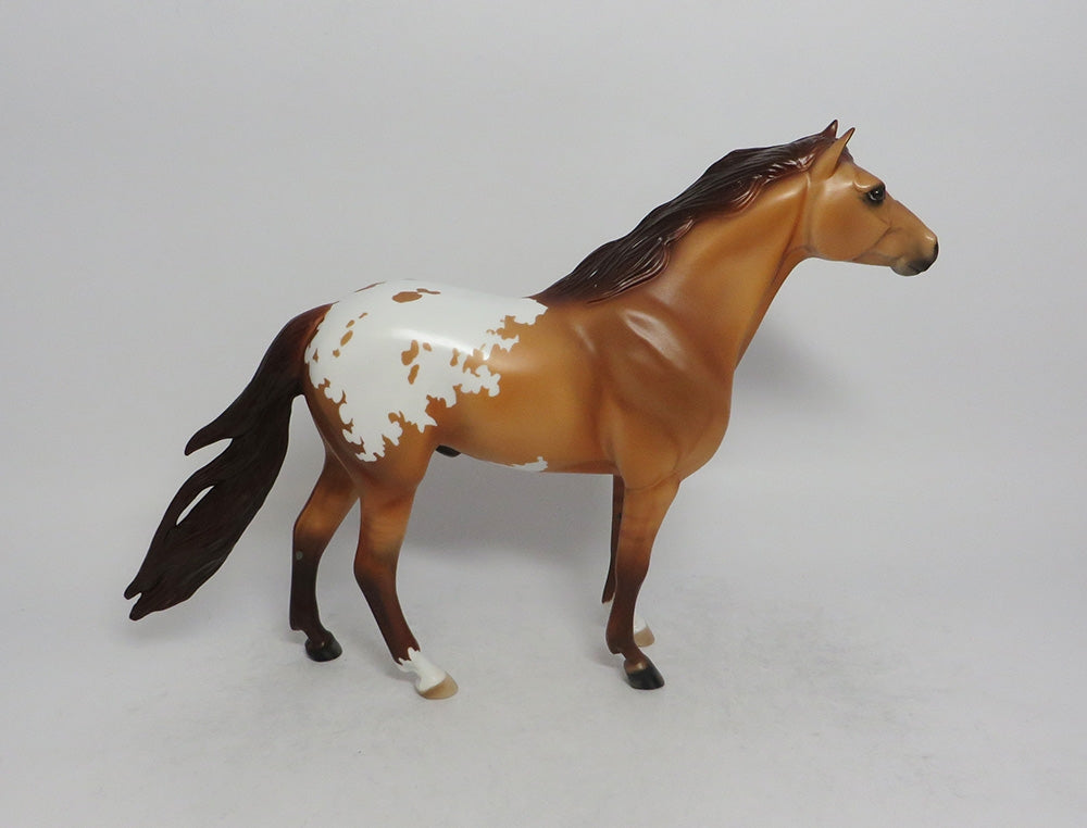 ZARTAN-OOAK RED DUN APPALOOSA MUSTANG MODEL HORSE BY TANSLEY HENLINE 6/8/18