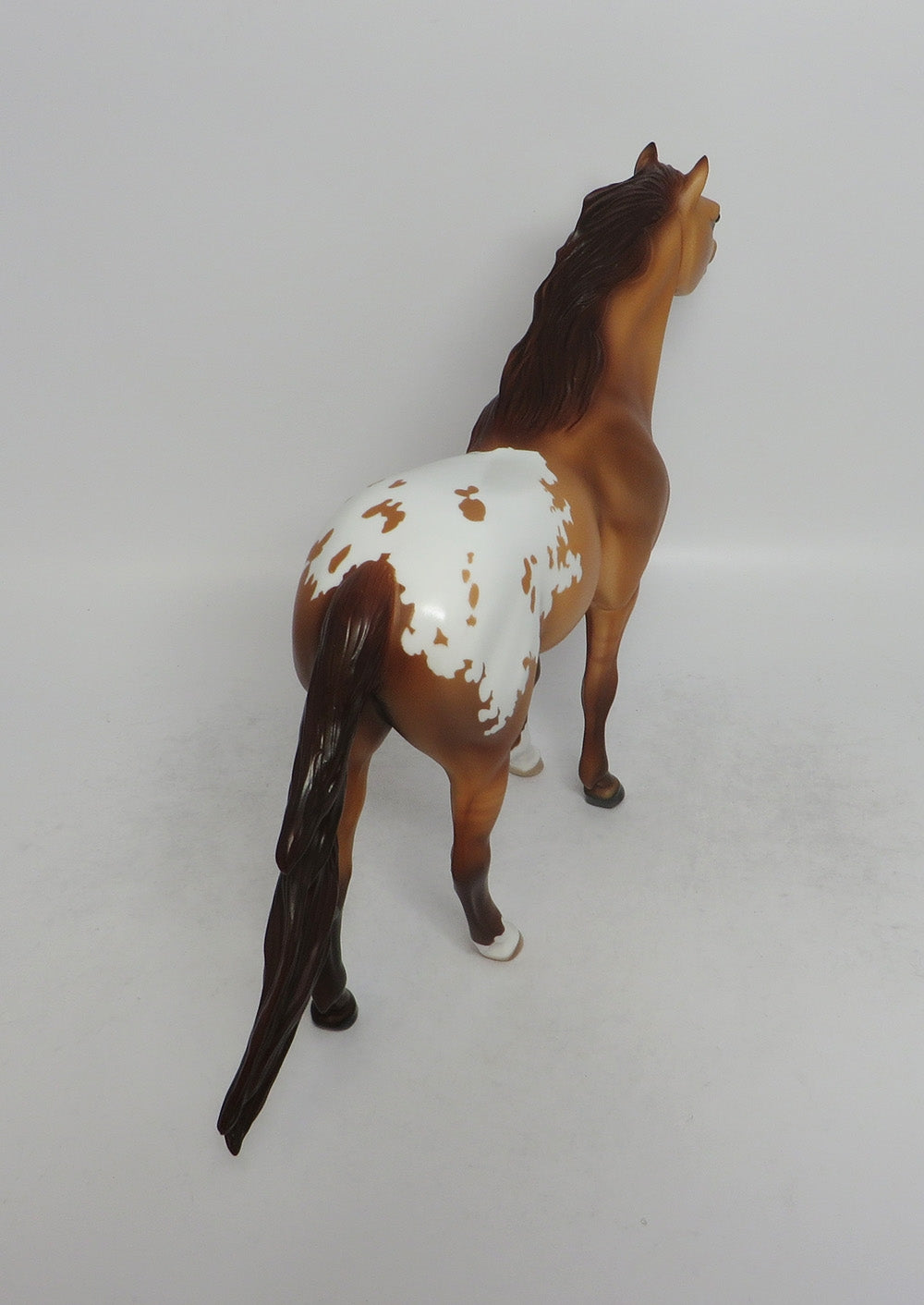 ZARTAN-OOAK RED DUN APPALOOSA MUSTANG MODEL HORSE BY TANSLEY HENLINE 6/8/18