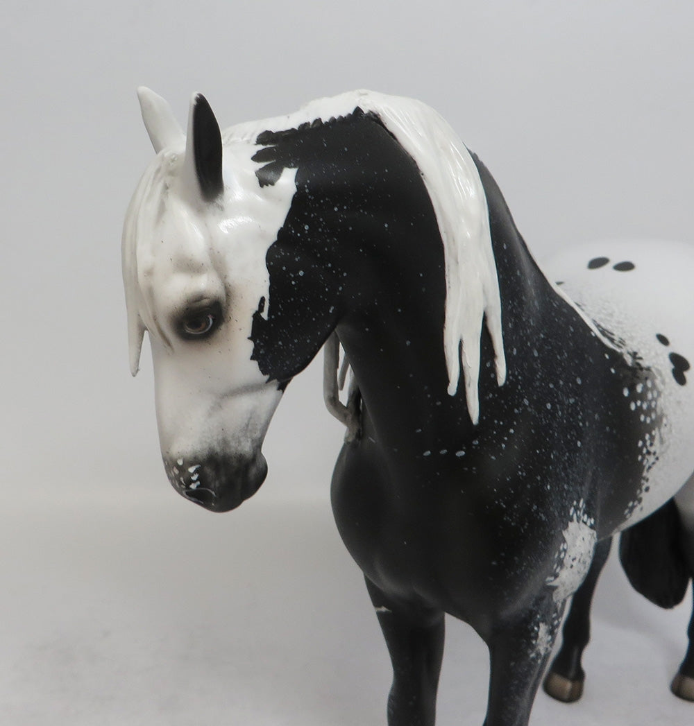 DEDIOS-OOAK BLACK PINTALOOSA ANDALSUIAN MODEL HORSE EQ 2018