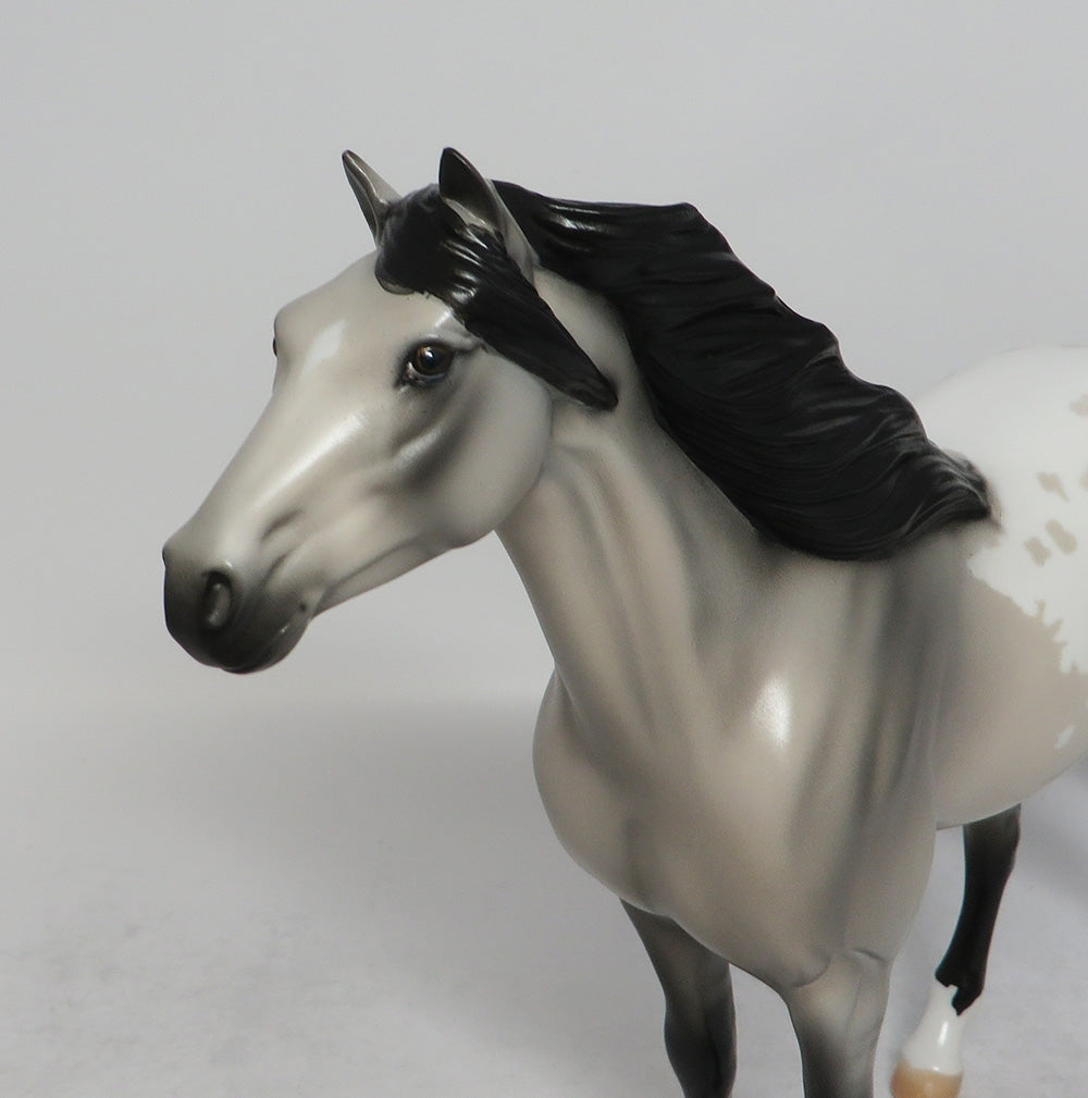 SAGE-OOAK GRULLA BLANKET APPALOOSA SPANISH MUSTANG EQ 2018