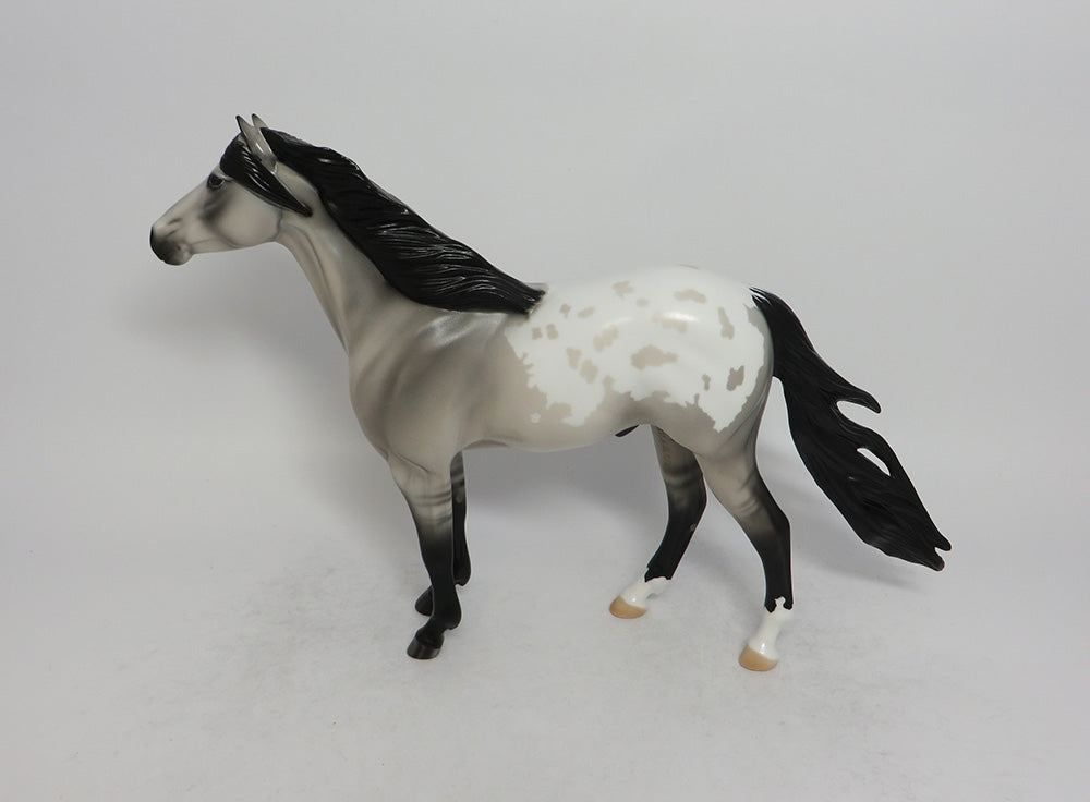 SAGE-OOAK GRULLA BLANKET APPALOOSA SPANISH MUSTANG EQ 2018