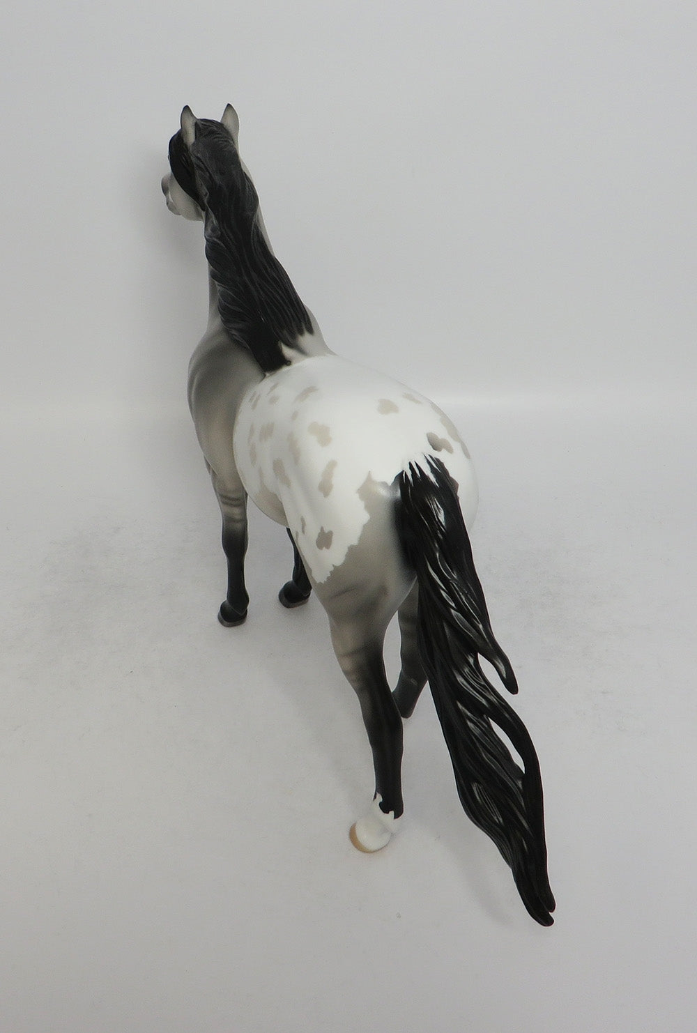 SAGE-OOAK GRULLA BLANKET APPALOOSA SPANISH MUSTANG EQ 2018