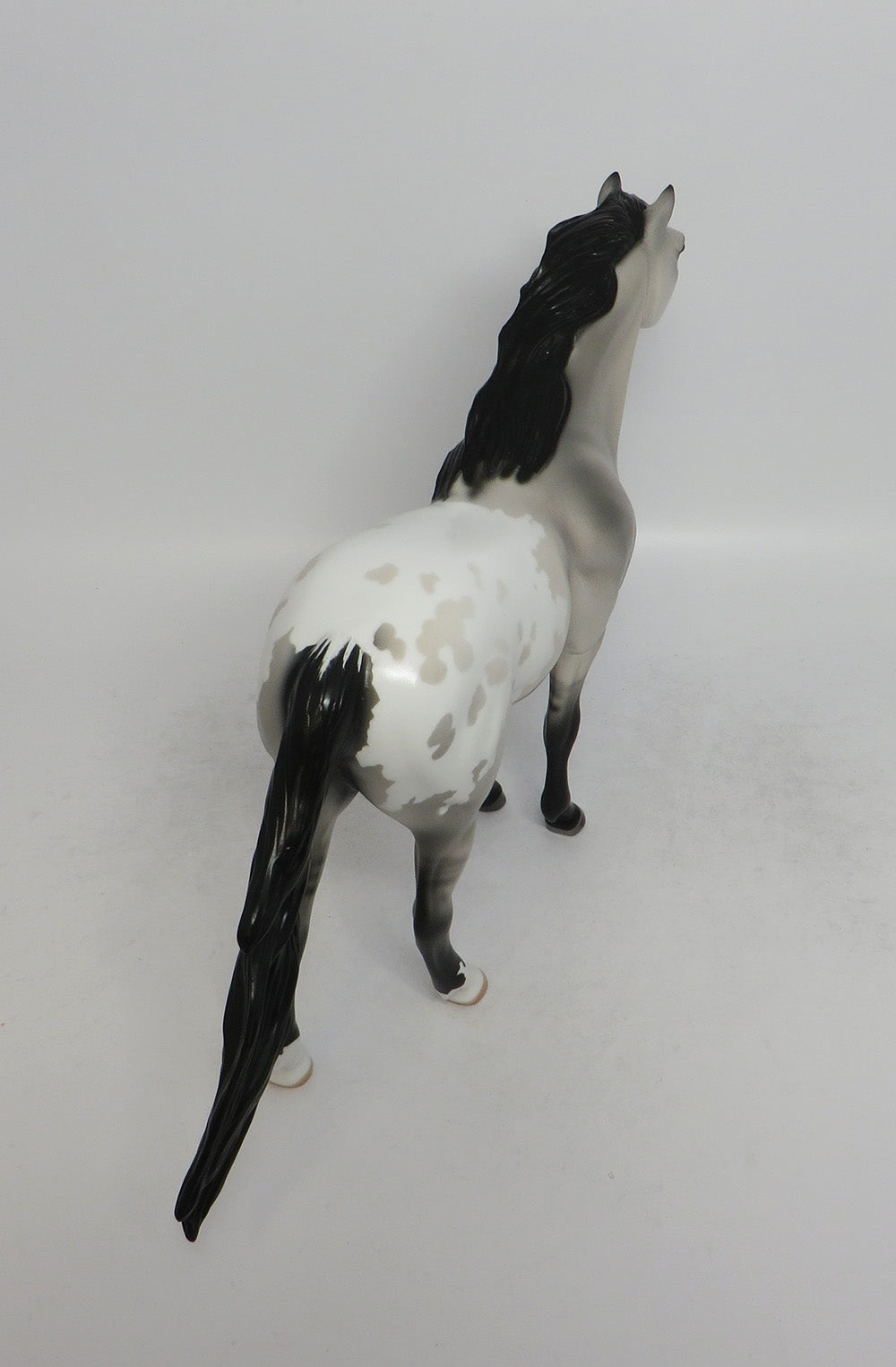 SAGE-OOAK GRULLA BLANKET APPALOOSA SPANISH MUSTANG EQ 2018