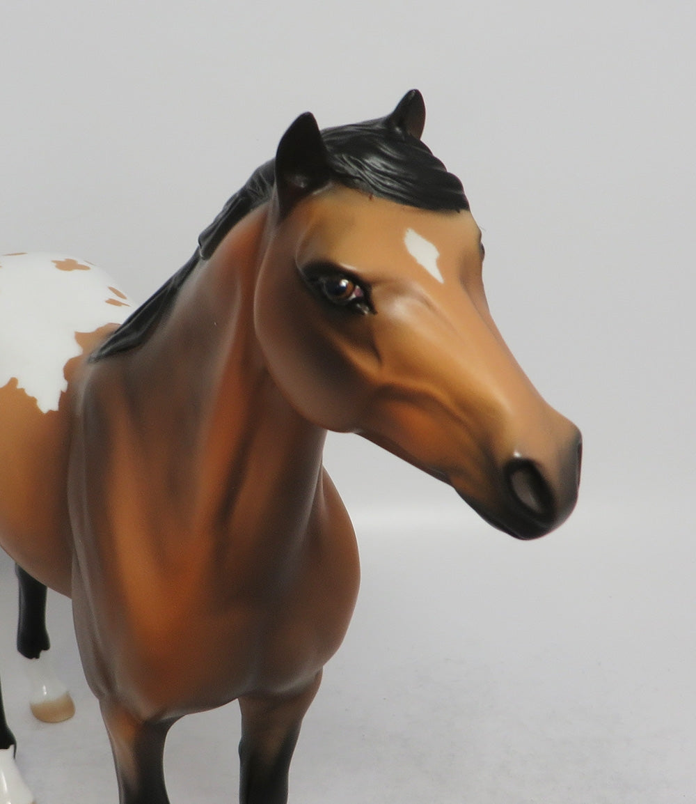 CACTUS-OOAK BUCKSKIN BLANKET APPALOOSA SPANISH MUSTANG EQ 2018