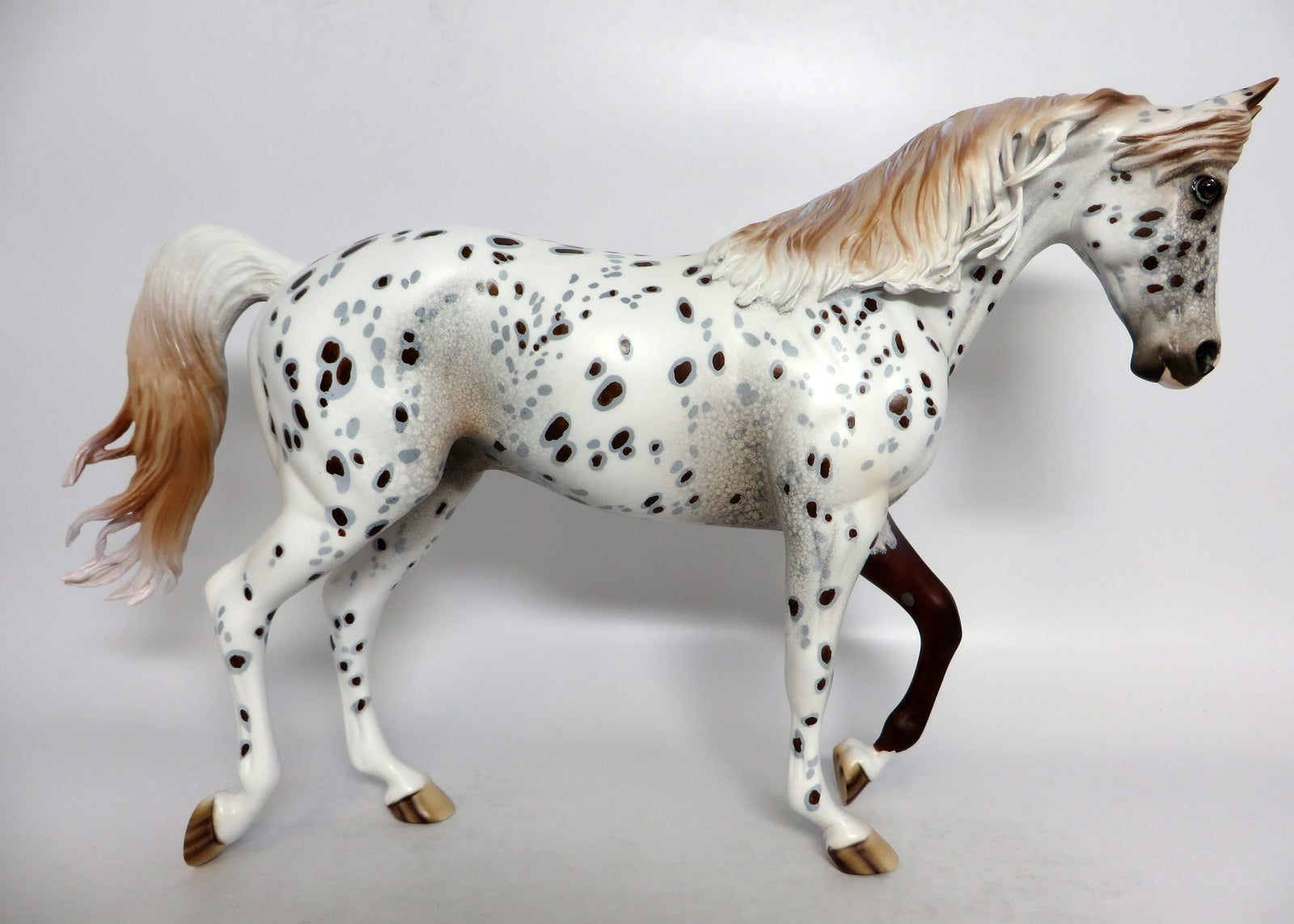 APPALOOSA