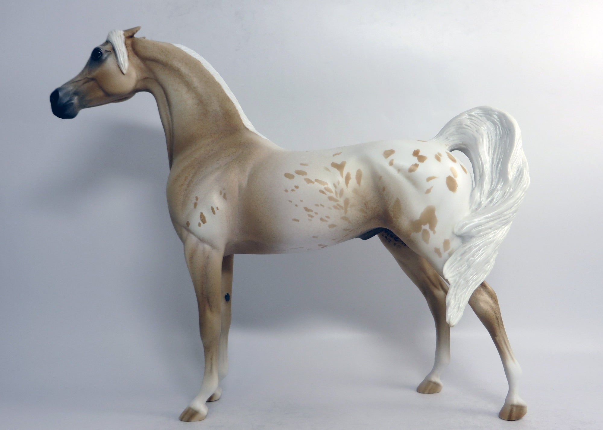 MOON GLOW-OOAK PINNED EAR PALOMINO ARABIAN BY DAWN QUICK EQ 2018