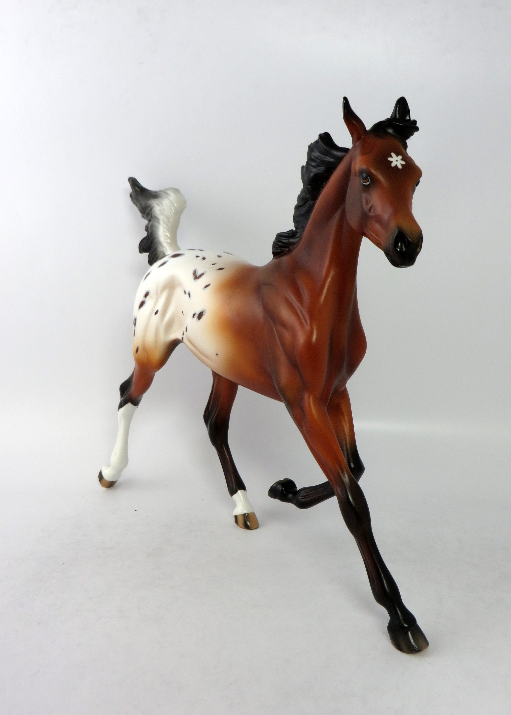 FUNNY STUFF OOAK BAY APPALOOSA YEARLING MODEL HORSE EQ 2018