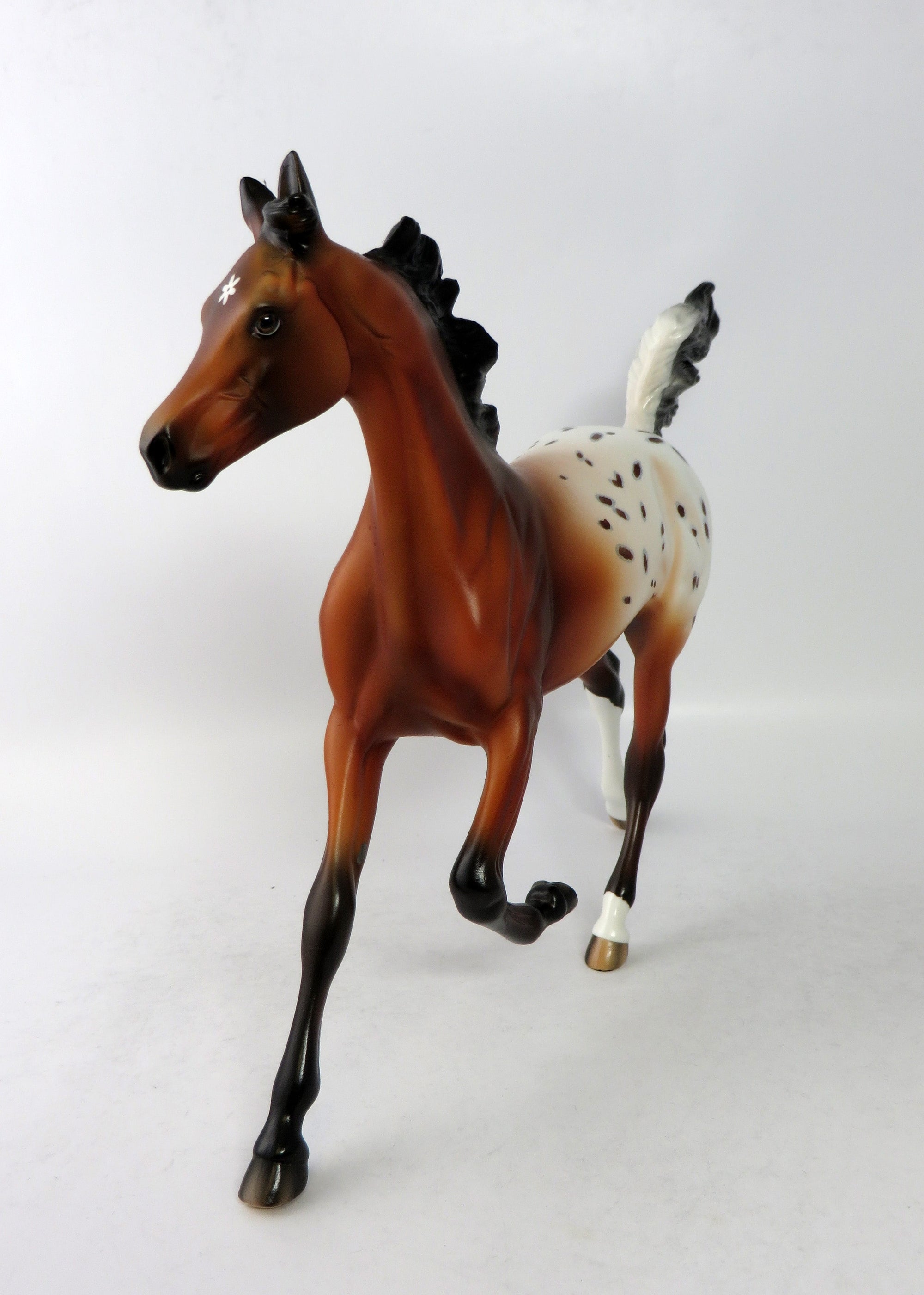 FUNNY STUFF OOAK BAY APPALOOSA YEARLING MODEL HORSE EQ 2018