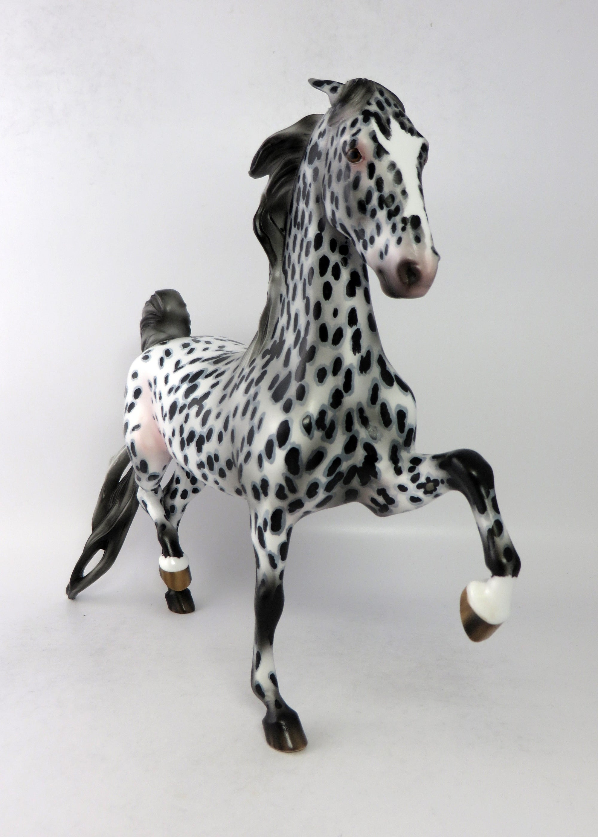 CONFETTI-OOAK LOUD APPALOOSA SADDLEBRED MODEL HORSE EQ 2018