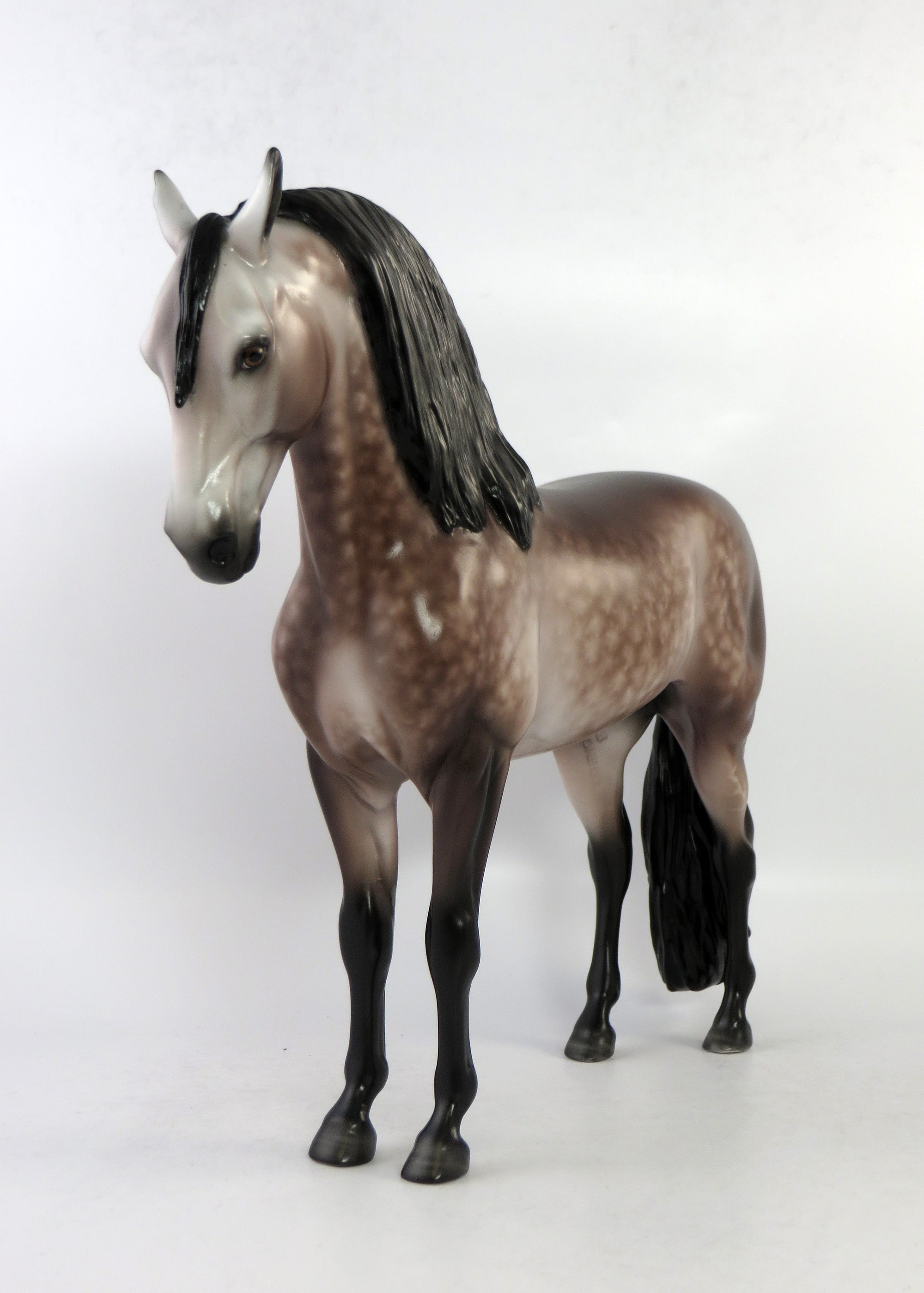 VERA CRUZ-OOAK ROSE DAPPLE GREY ANDALUSIAN BY SHERYL LEISURE 6/15/18