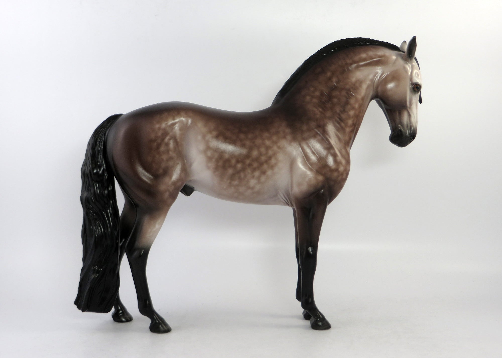 VERA CRUZ-OOAK ROSE DAPPLE GREY ANDALUSIAN BY SHERYL LEISURE 6/15/18