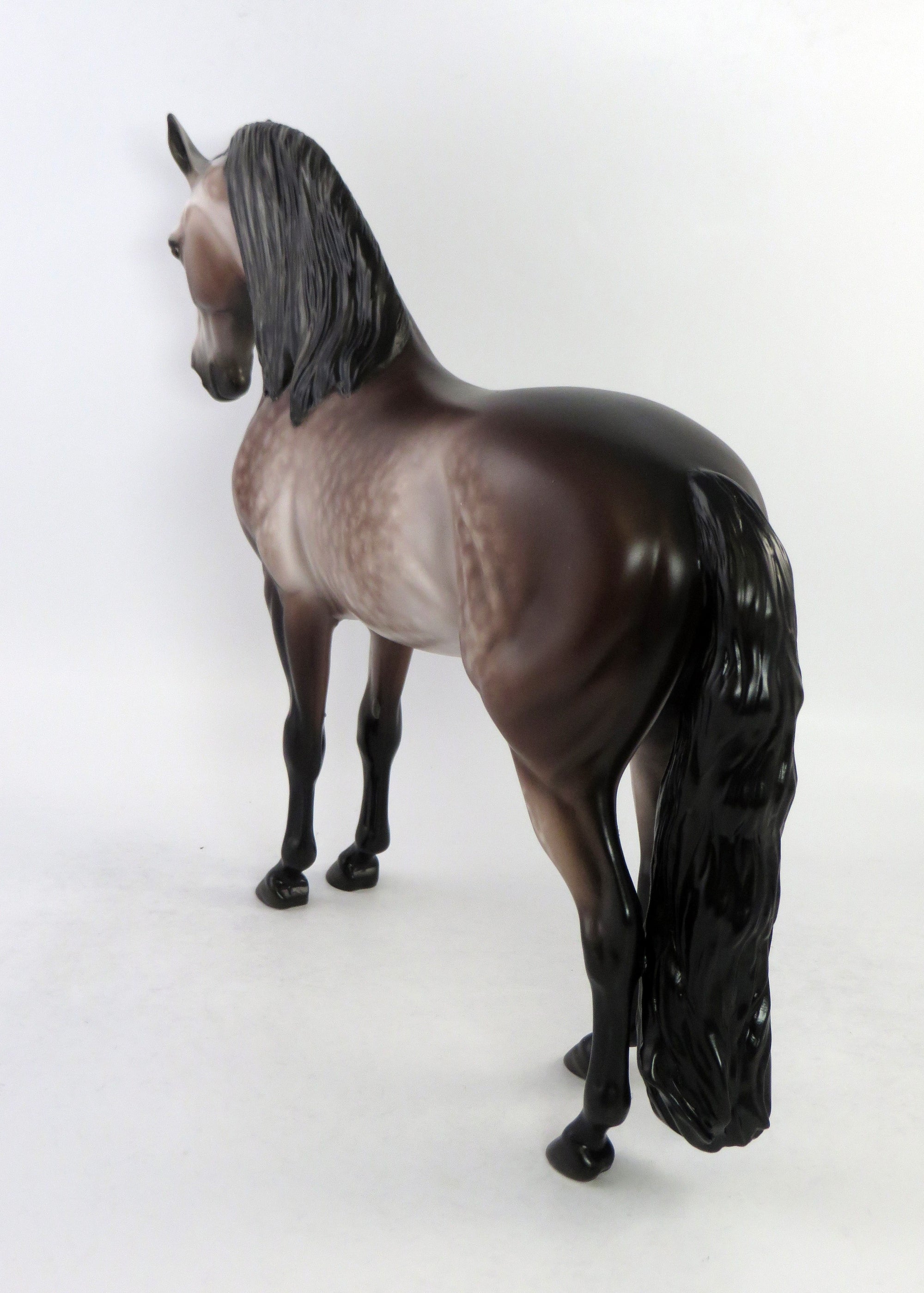 VERA CRUZ-OOAK ROSE DAPPLE GREY ANDALUSIAN BY SHERYL LEISURE 6/15/18