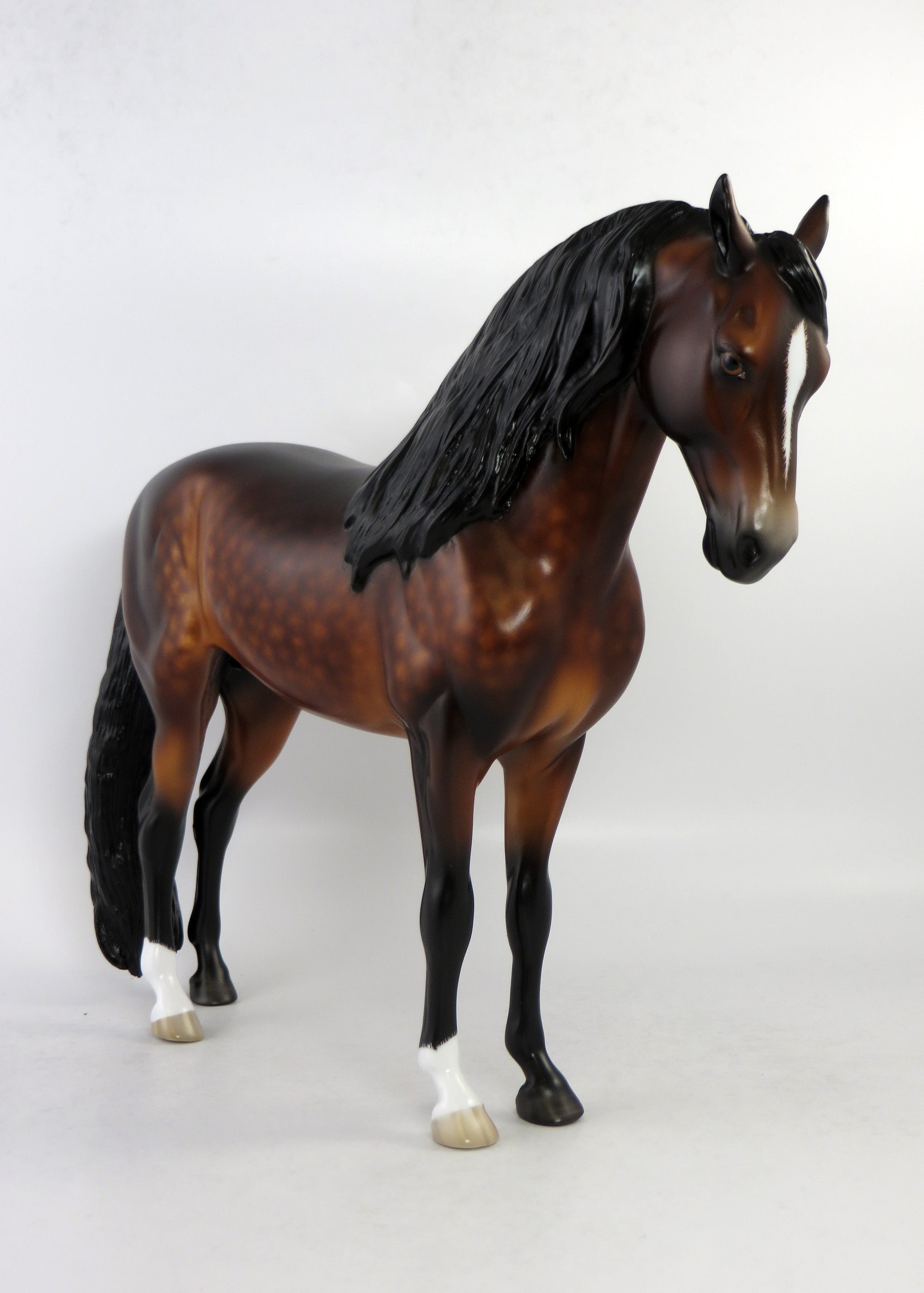 NAPOLEON-OOAK STAR DAPPLE BAY ANDALUSIAN MODEL HORSE BY SHERYL LEISURE EQ 2018