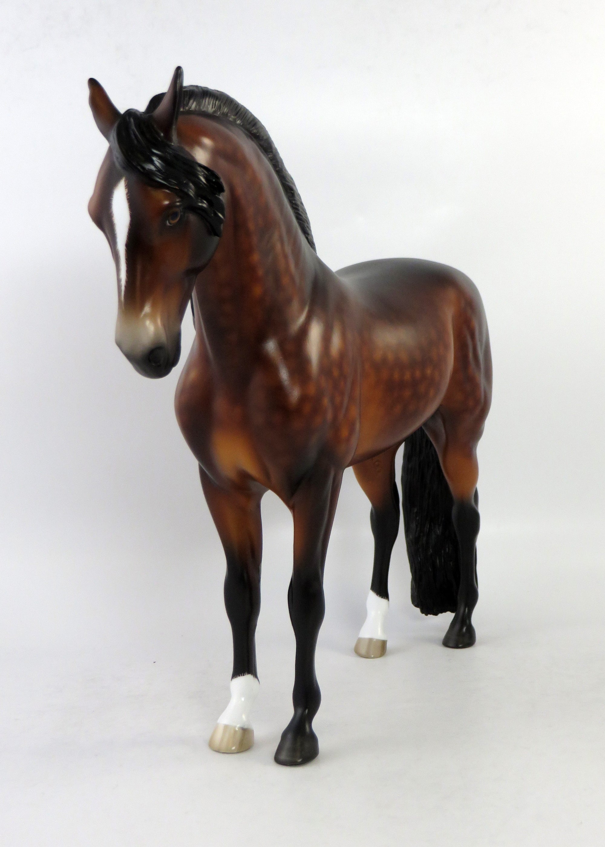 NAPOLEON-OOAK STAR DAPPLE BAY ANDALUSIAN MODEL HORSE BY SHERYL LEISURE EQ 2018