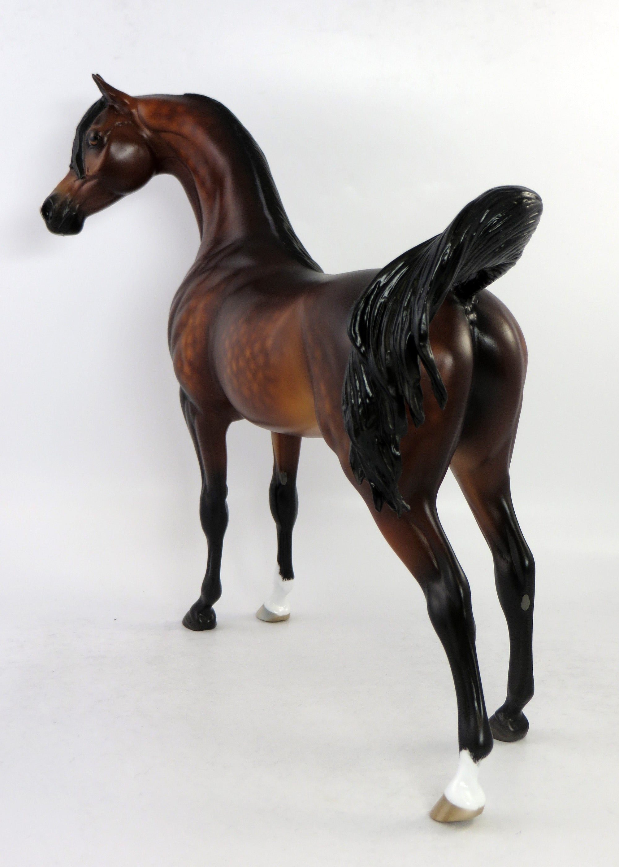 GRIFFIN-OOAK DAPPLE BAY ARABIAN MODEL HORSE 6/15/18