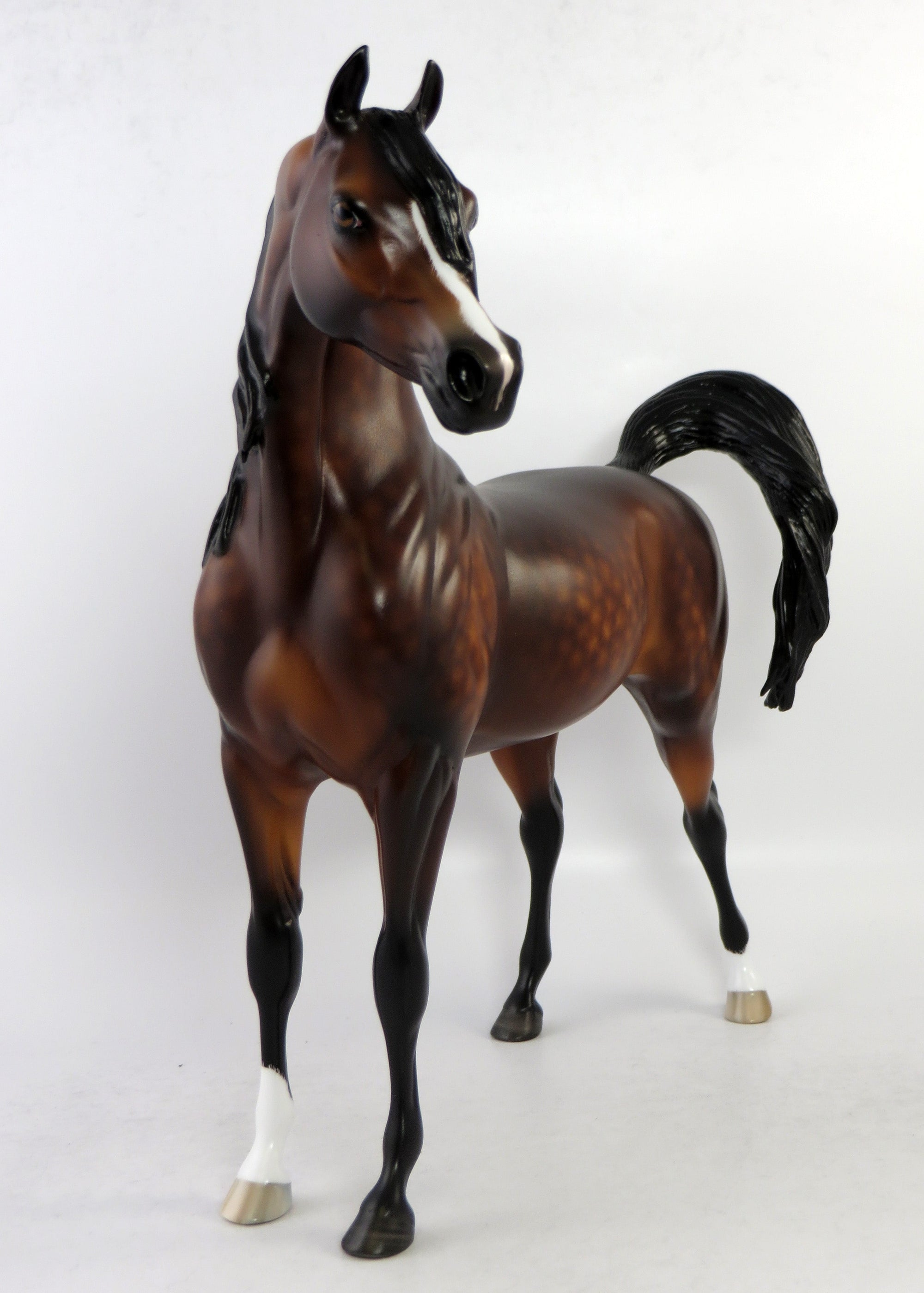 GRIFFIN-OOAK DAPPLE BAY ARABIAN MODEL HORSE 6/15/18