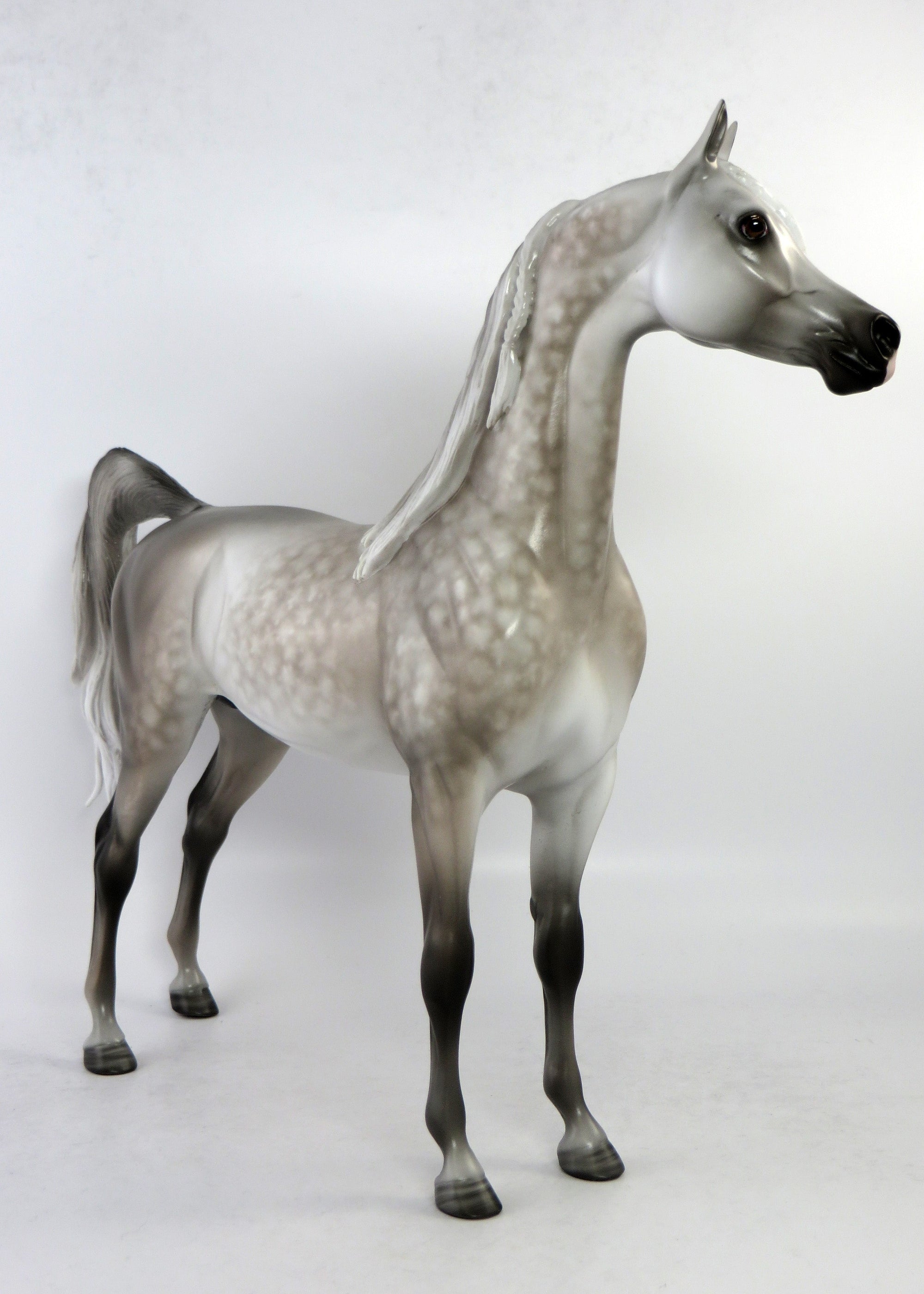 FILLMORE-OOAK STAR DAPPLE GREY ARABIAN MODEL HORSE BY SL EQ 2018