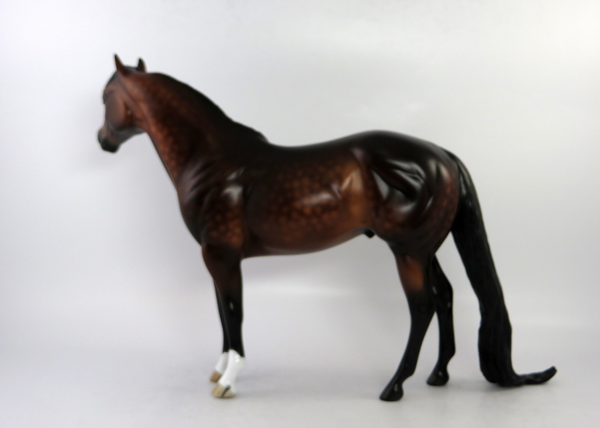 YEOMAN-OOAK DAPPLE BAY ISH BY SHERYL LEISURE 6/15/18