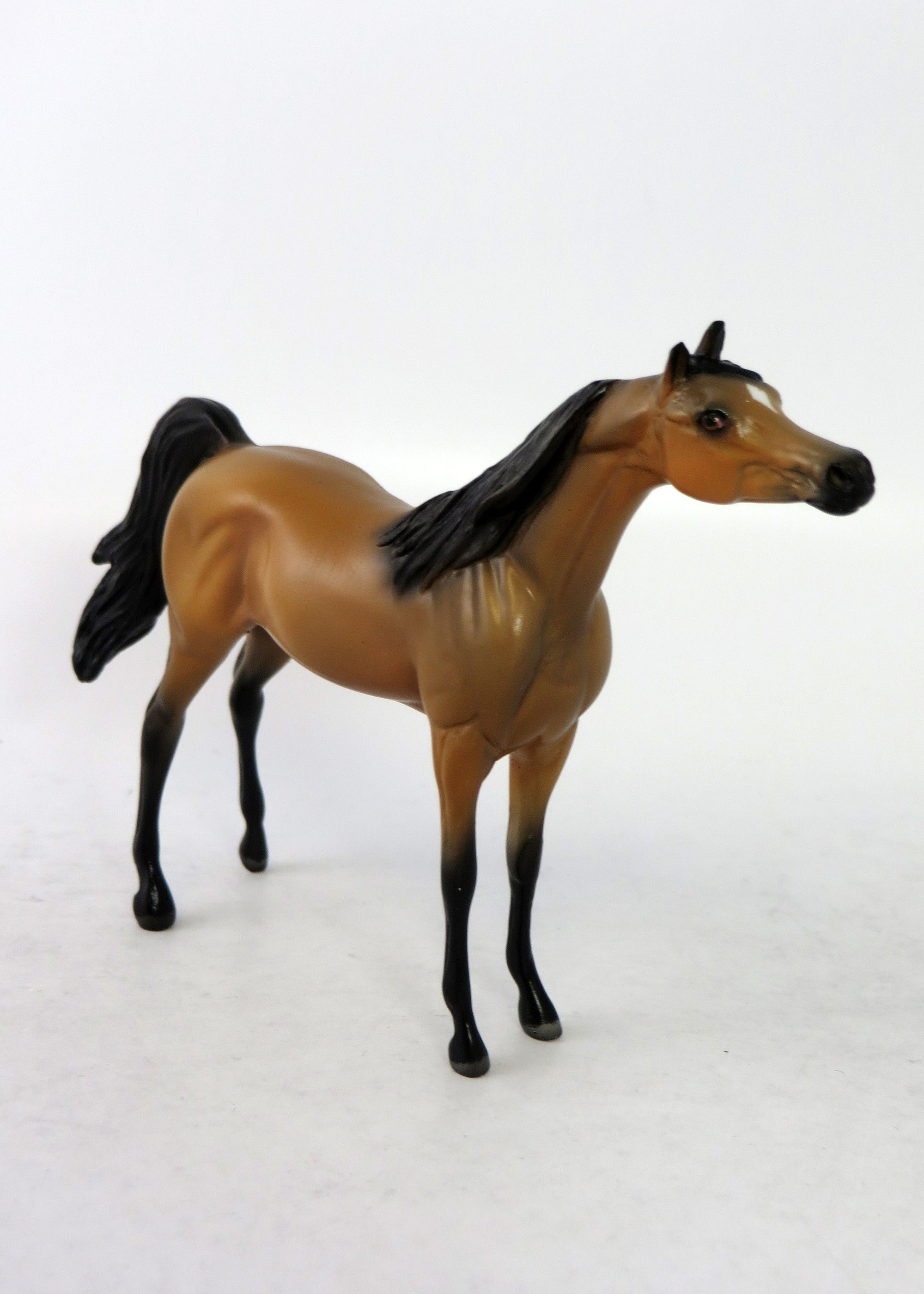 ZELLY-LE-15 MINI ME BUCKSKIN ARABIAN EQ 2018