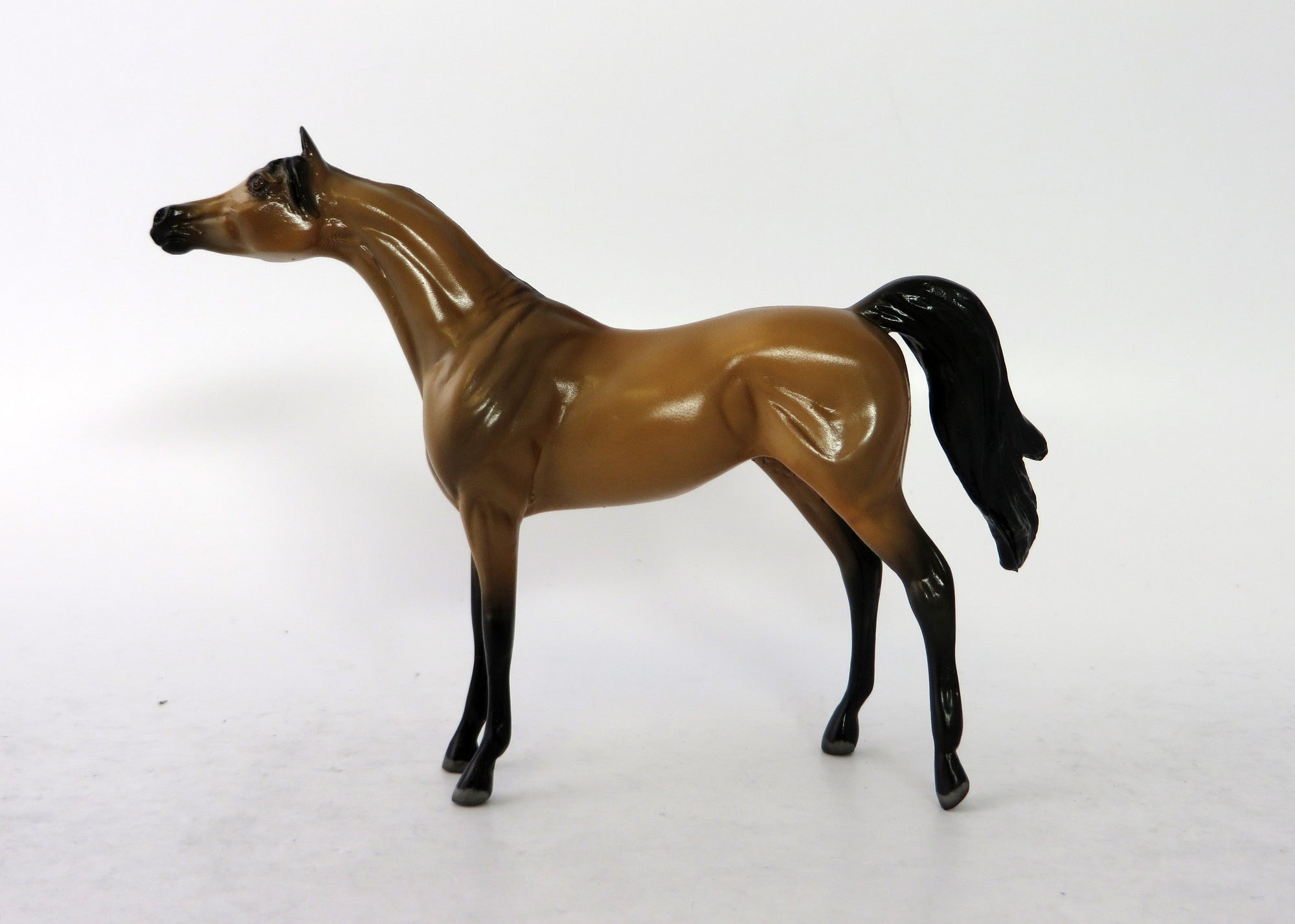 ZELLY-LE-15 MINI ME BUCKSKIN ARABIAN EQ 2018