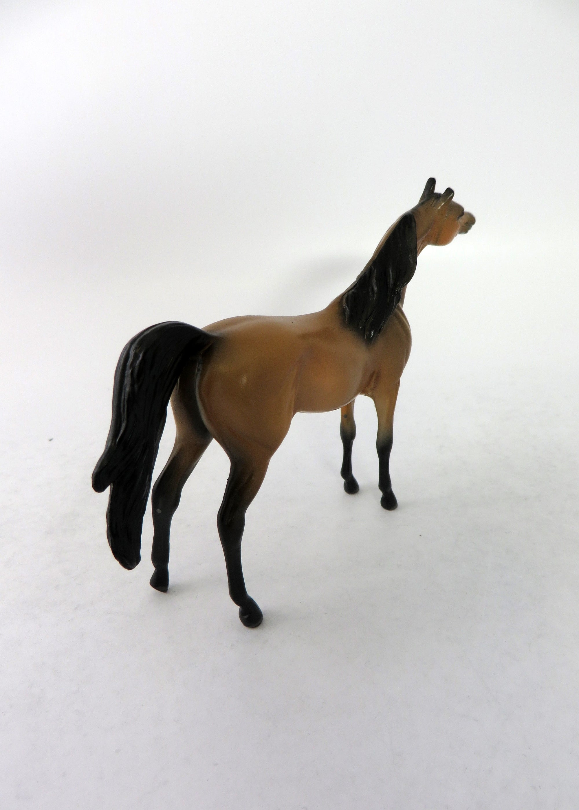 ZELLY-LE-15 MINI ME BUCKSKIN ARABIAN EQ 2018