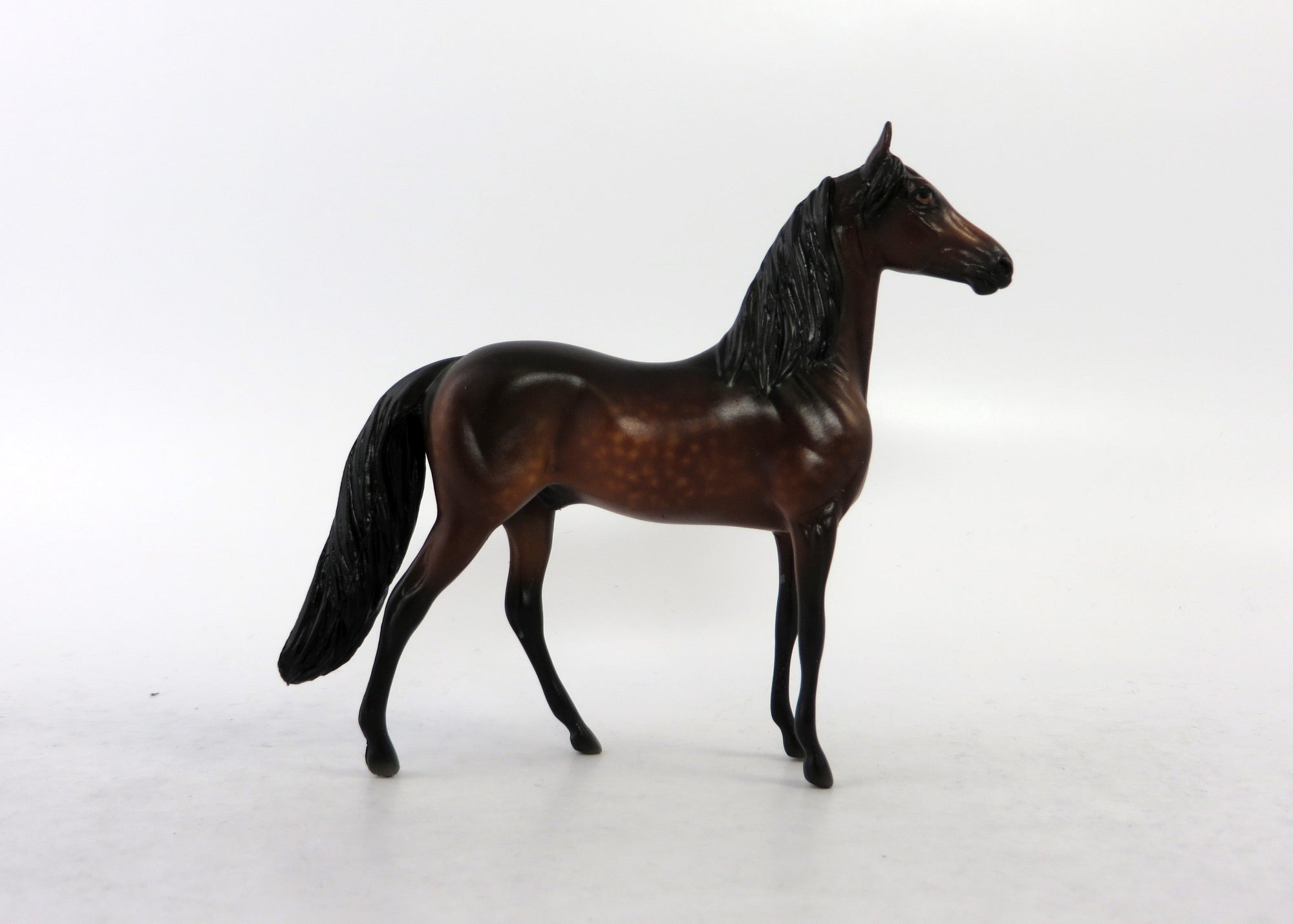 CROMWELL-OOAK DAPPPLE BAY MORGAN CHIP BY SHERYL LESIURE 6/15/18