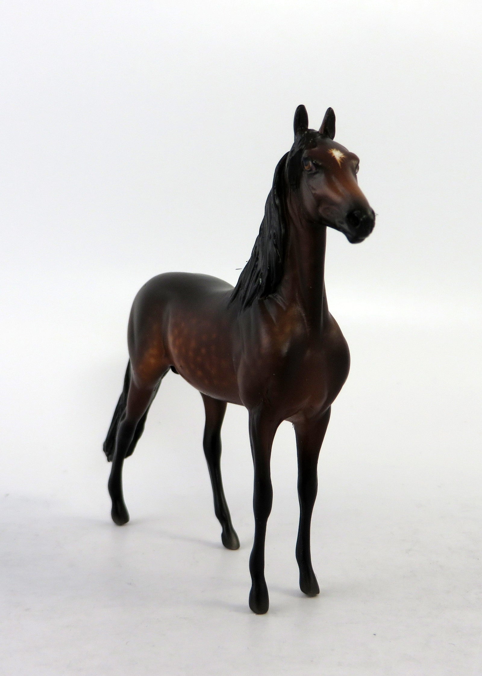 CROMWELL-OOAK DAPPPLE BAY MORGAN CHIP BY SHERYL LESIURE 6/15/18