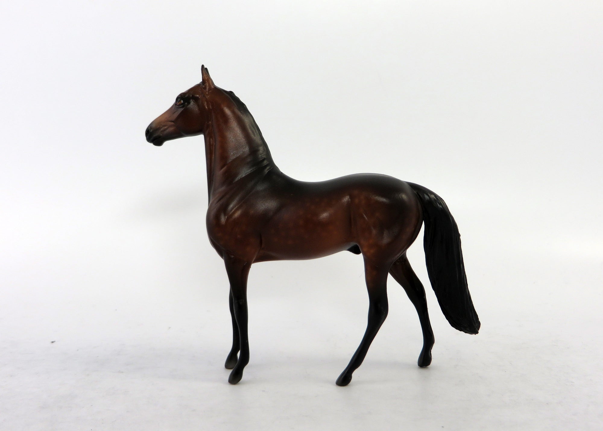 CROMWELL-OOAK DAPPPLE BAY MORGAN CHIP BY SHERYL LESIURE 6/15/18