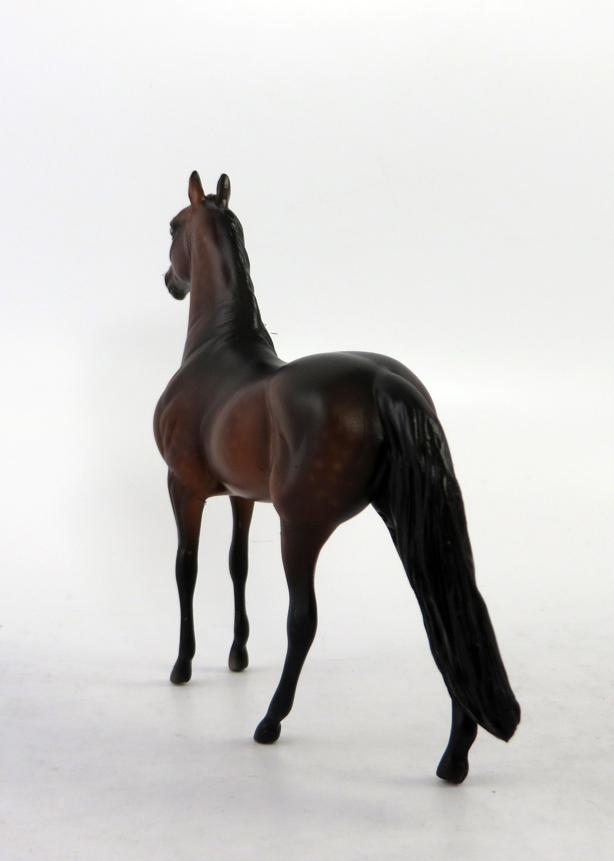 CROMWELL-OOAK DAPPPLE BAY MORGAN CHIP BY SHERYL LESIURE 6/15/18