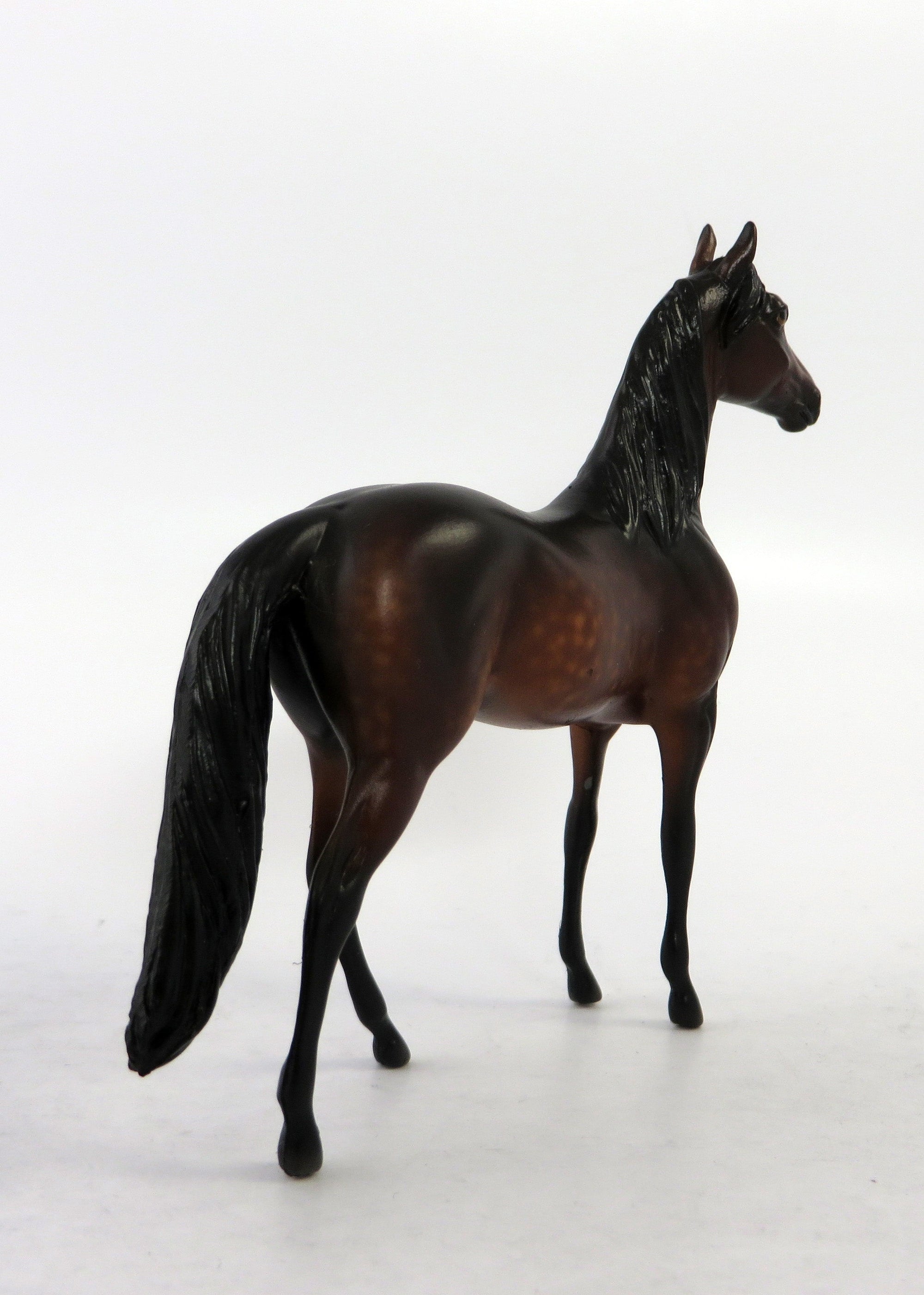 CROMWELL-OOAK DAPPPLE BAY MORGAN CHIP BY SHERYL LESIURE 6/15/18