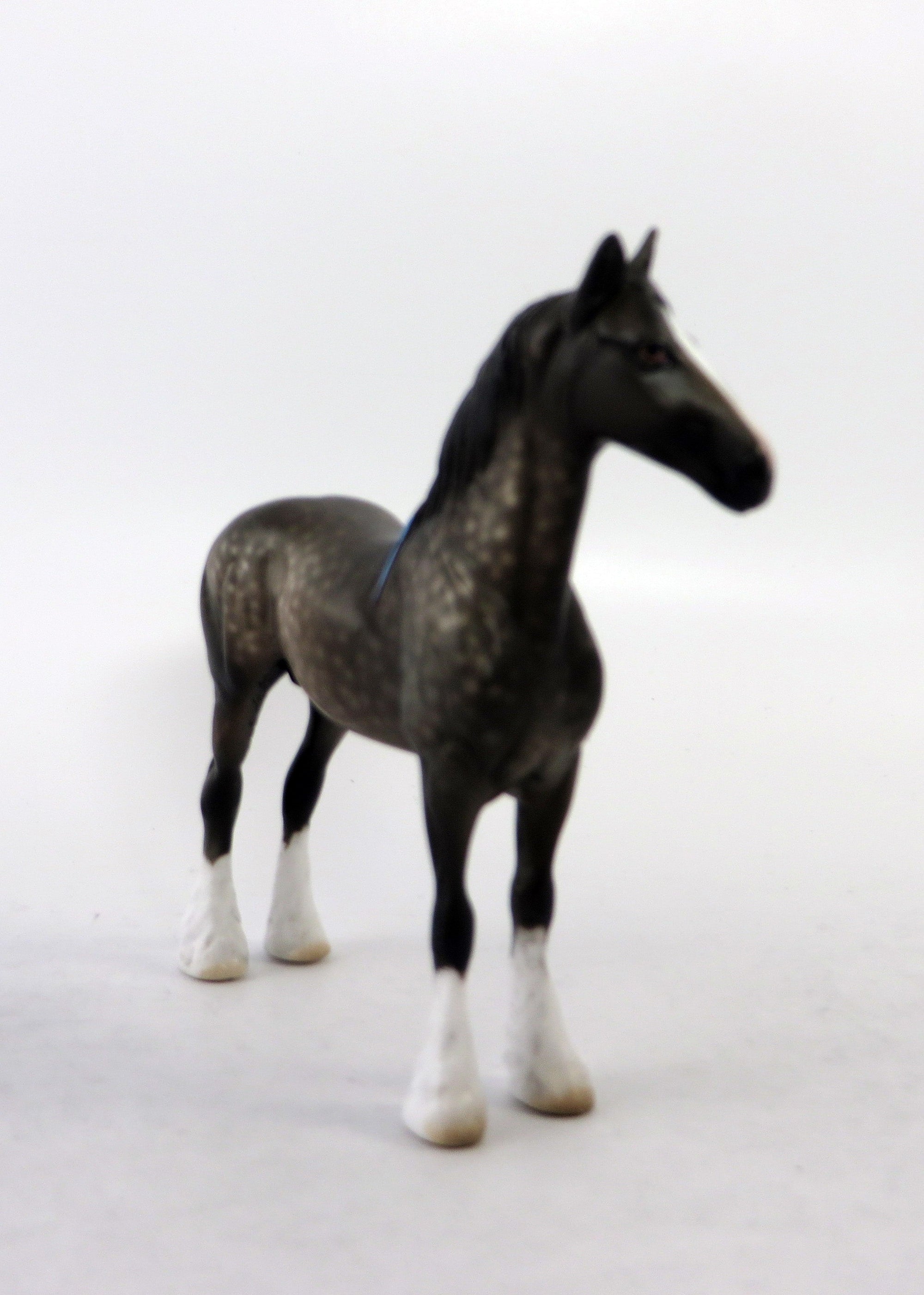 COLBURN-OOAK DAPPLE GREY STANDING DRAFT CHIP BY SHERYL LEISURE 6/15/18