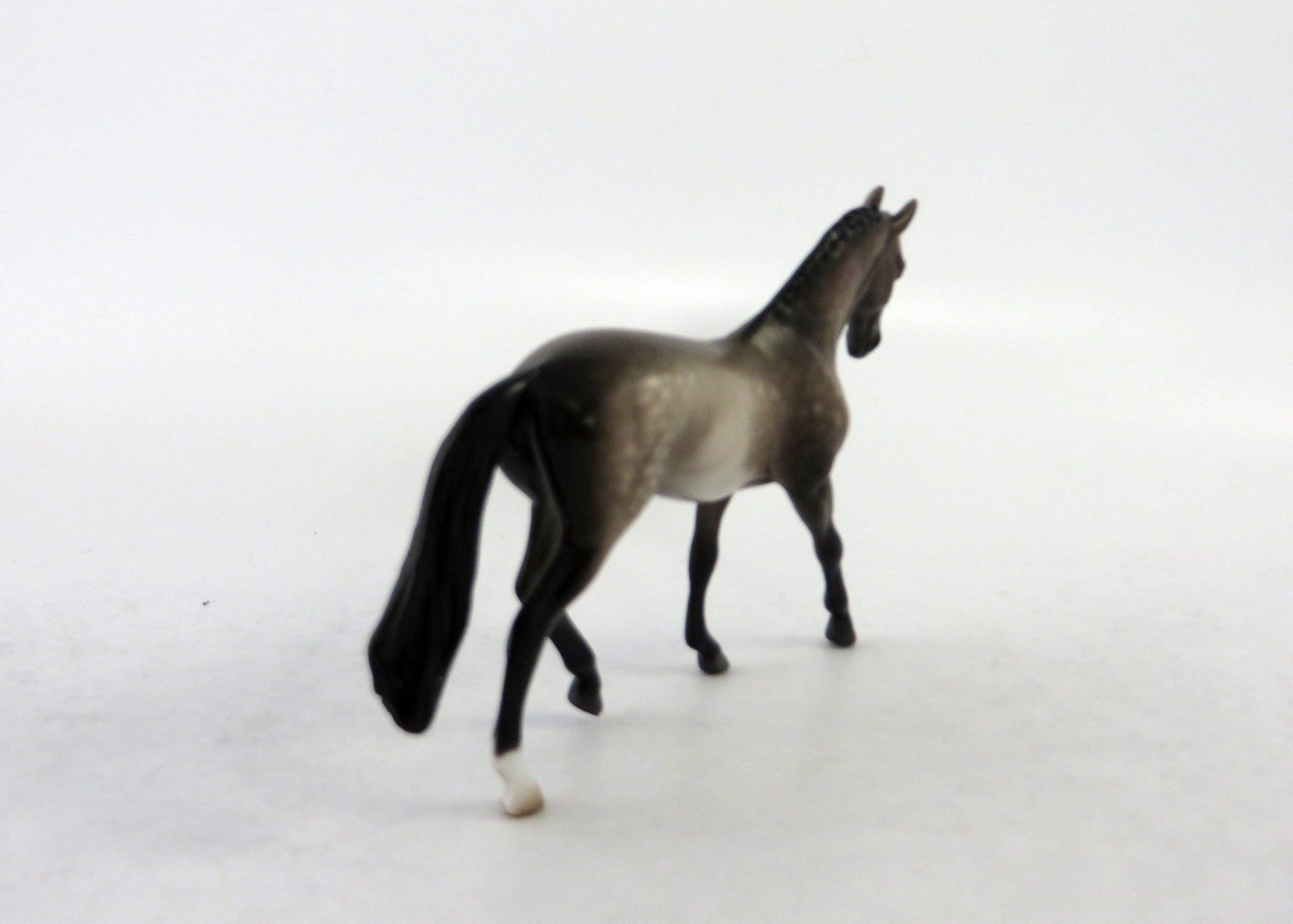 FULTON-OOAK STAR DAPPLE GREY WARMBLOOD CHIP BY SHERYL LEISURE 6/15/18