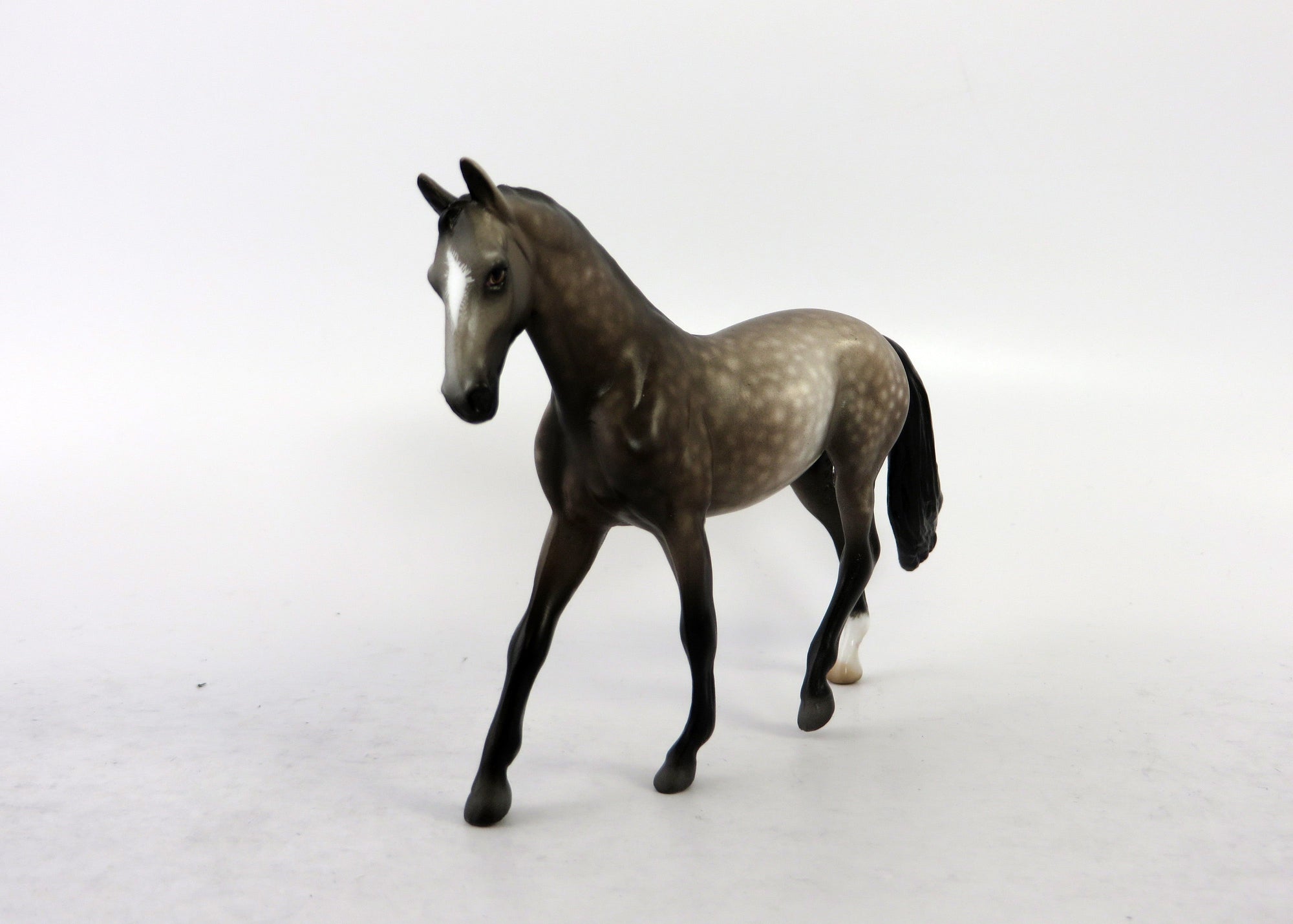 FULTON-OOAK STAR DAPPLE GREY WARMBLOOD CHIP BY SHERYL LEISURE 6/15/18