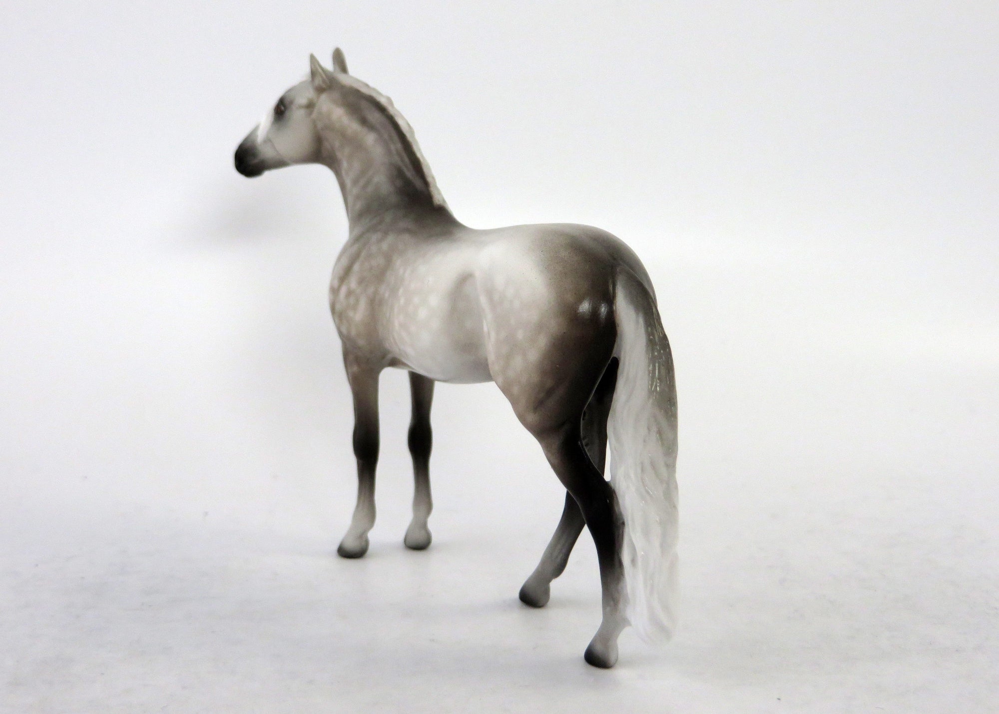 METAMORA-OOAK EXTREME DAPPLED GREY ANDALUSIAN BY SHERYL LEISURE 6/15/18