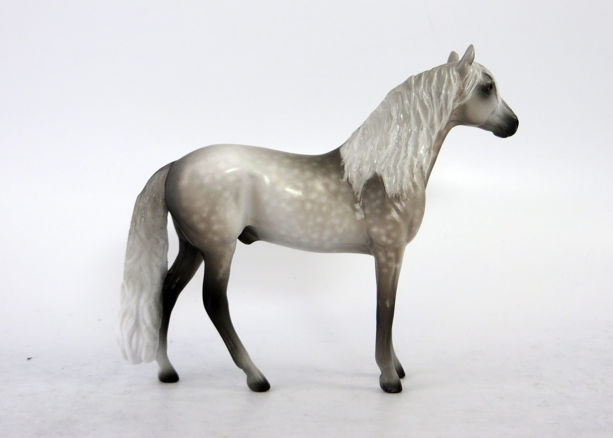 METAMORA-OOAK EXTREME DAPPLED GREY ANDALUSIAN BY SHERYL LEISURE 6/15/18