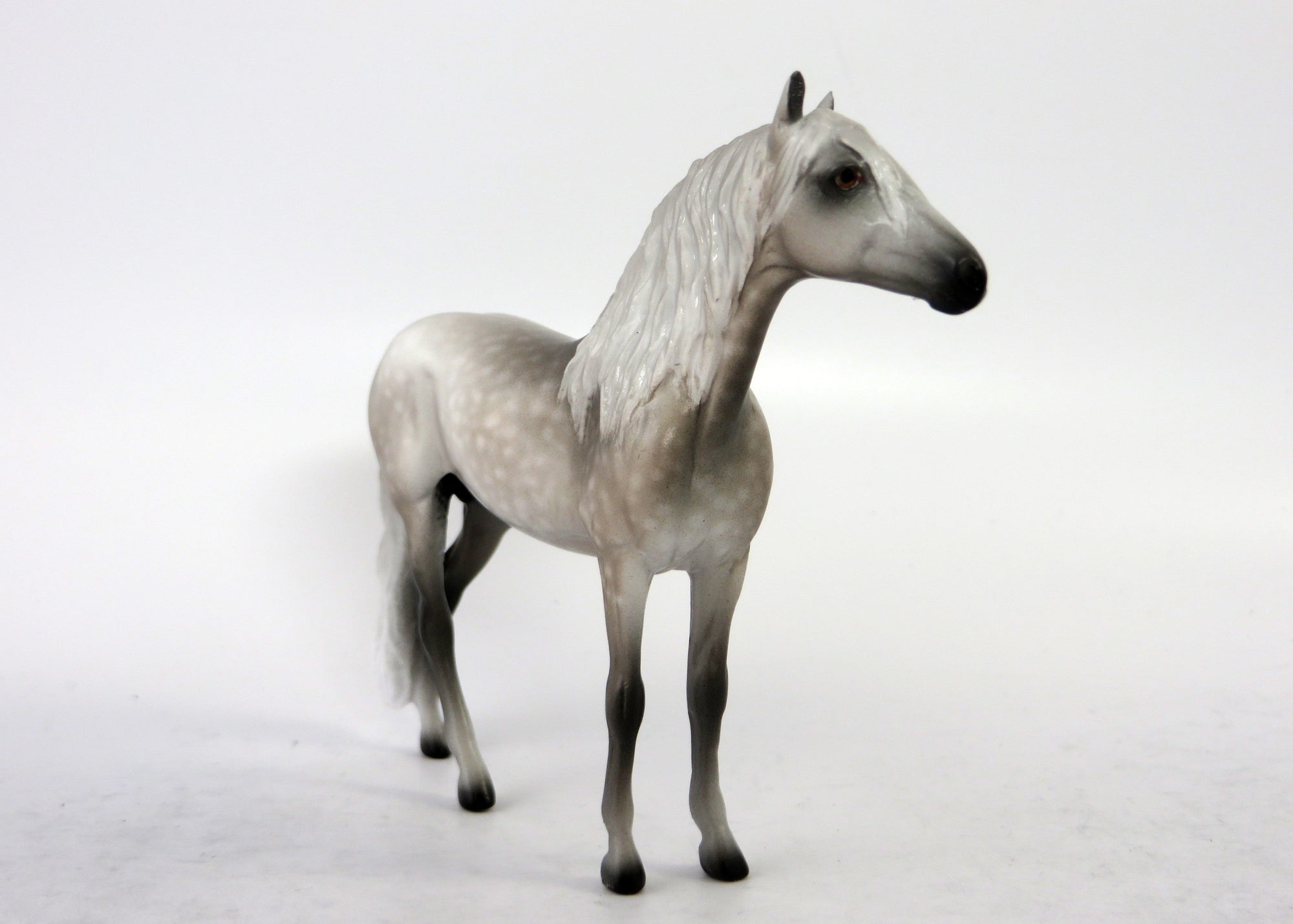 METAMORA-OOAK EXTREME DAPPLED GREY ANDALUSIAN BY SHERYL LEISURE 6/15/18