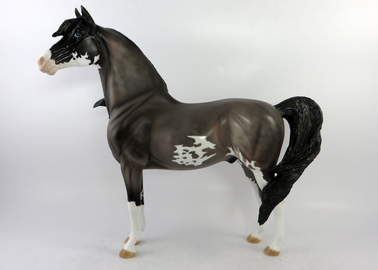 VEVO-LE-4 DAPPLE ROAN PINTO MORGAN MODEL HORSE 6/15/18