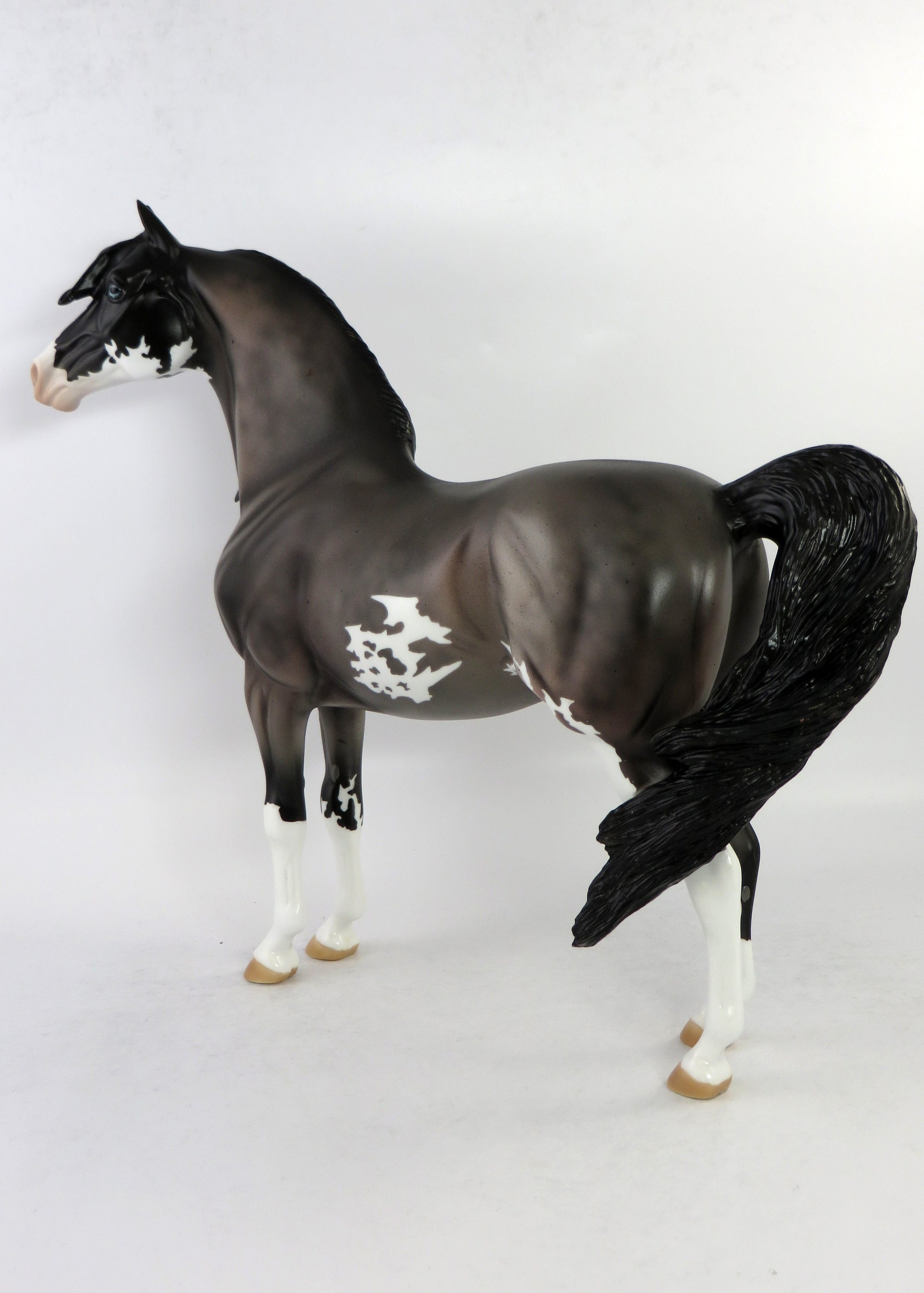 VEVO-LE-4 DAPPLE ROAN PINTO MORGAN MODEL HORSE 6/15/18