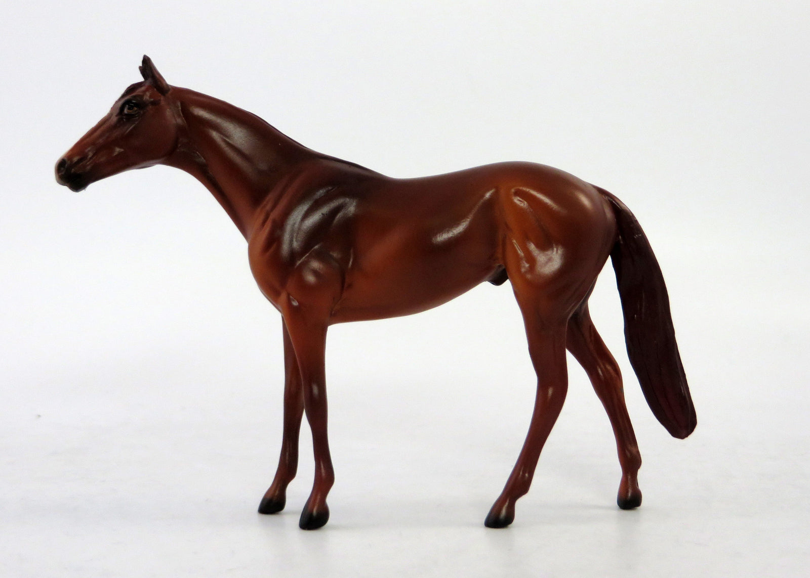 CHARLIE-LE-15 NON CUSTOM THOROUGHBRED MINI ME EQ RELEASE 2018