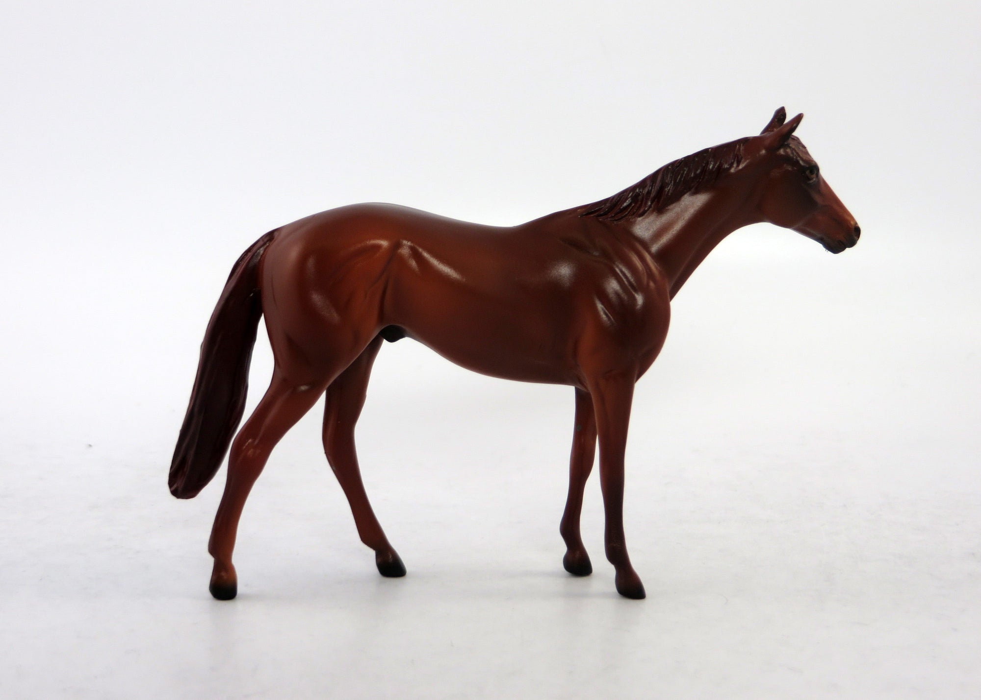 CHARLIE-LE-15 NON CUSTOM THOROUGHBRED MINI ME EQ RELEASE 2018