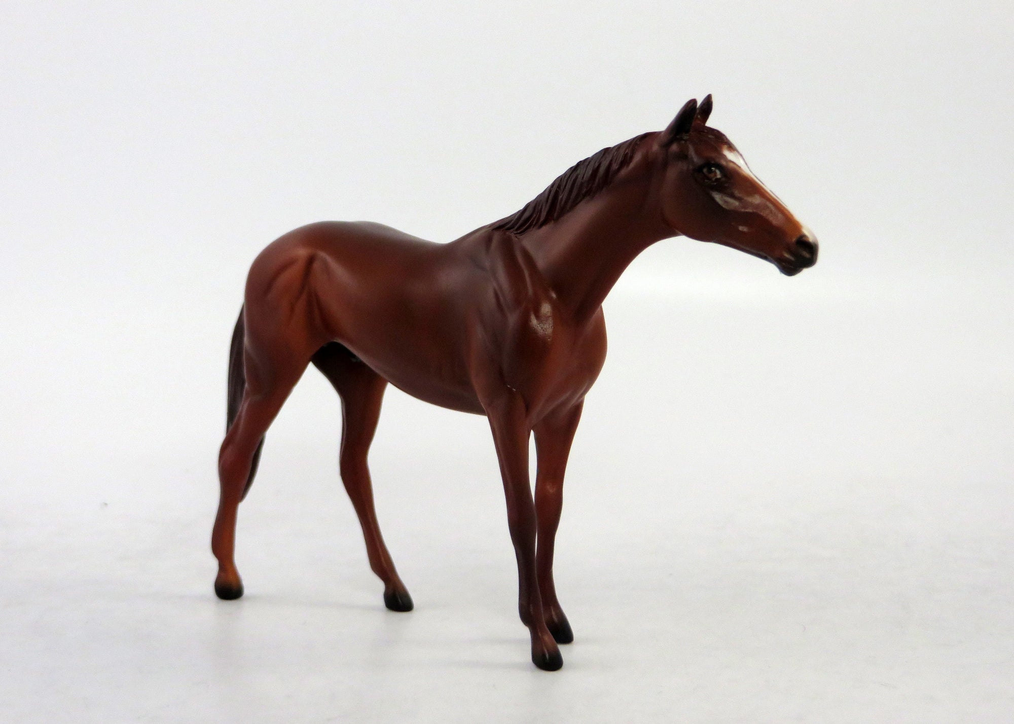CHARLIE-LE-15 NON CUSTOM THOROUGHBRED MINI ME EQ RELEASE 2018