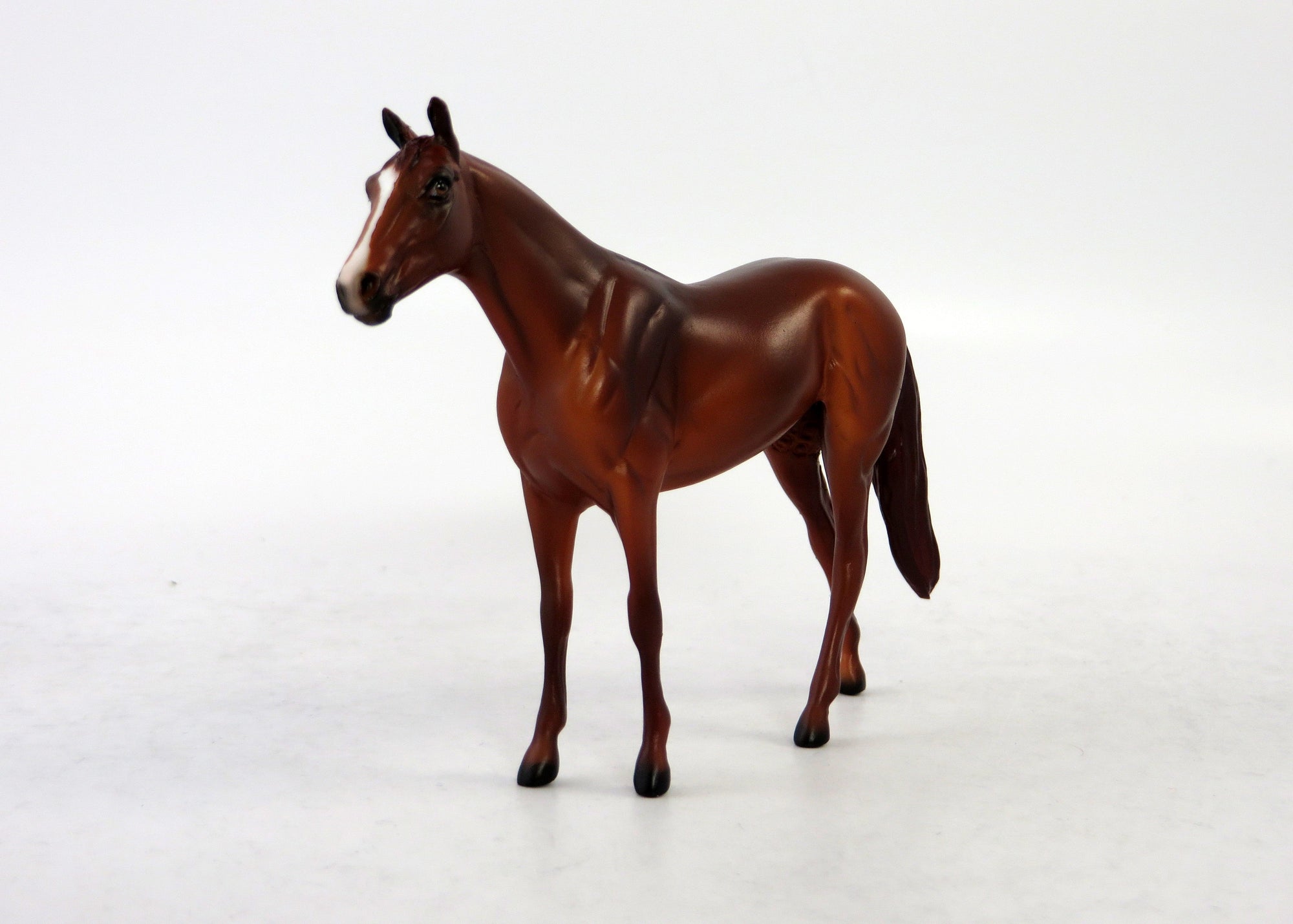 CHARLIE-LE-15 NON CUSTOM THOROUGHBRED MINI ME EQ RELEASE 2018