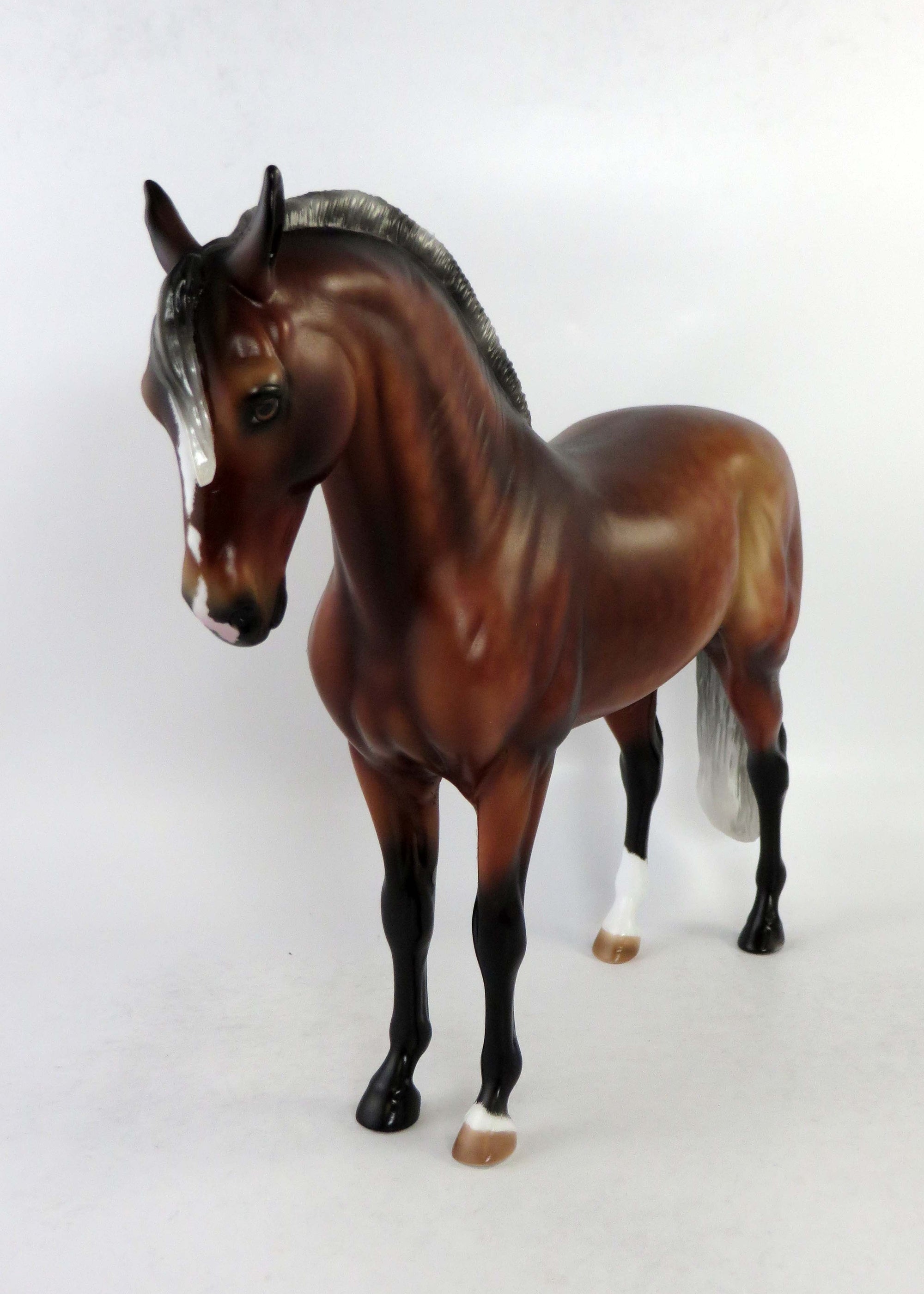 MATEO-OOAK SILVER BAY ANDALSUIAN BY AUDREY 6/19/18