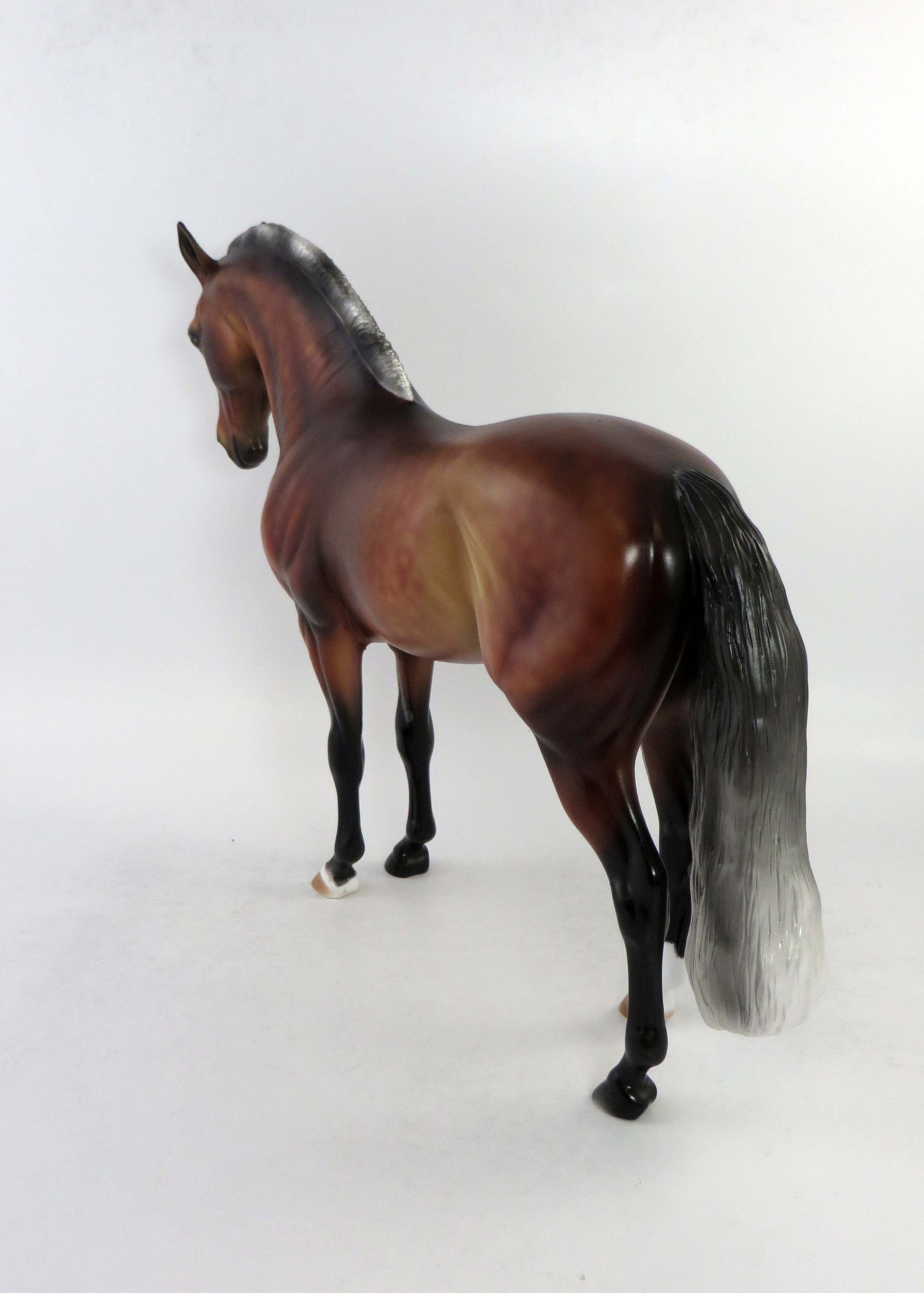 MATEO-OOAK SILVER BAY ANDALSUIAN BY AUDREY 6/19/18