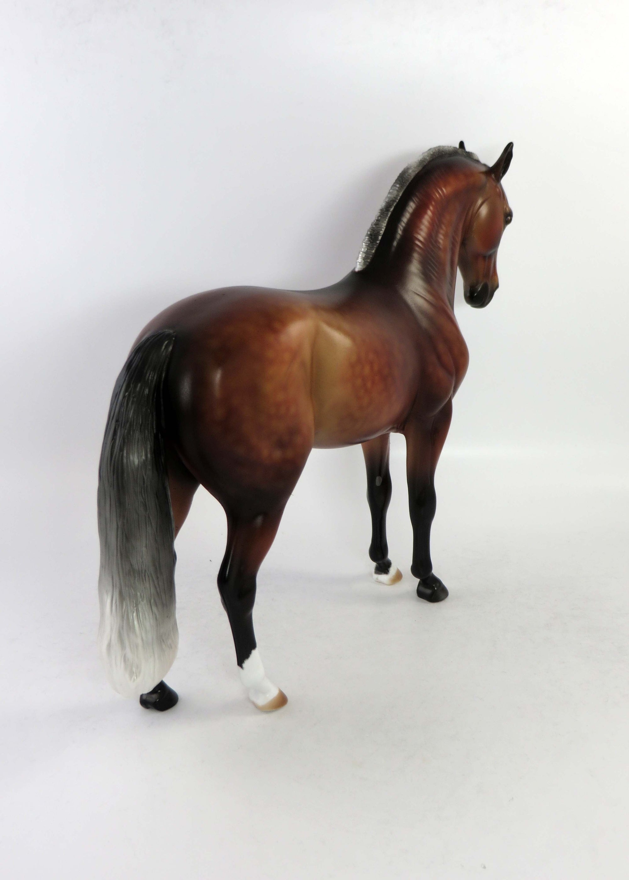 MATEO-OOAK SILVER BAY ANDALSUIAN BY AUDREY 6/19/18