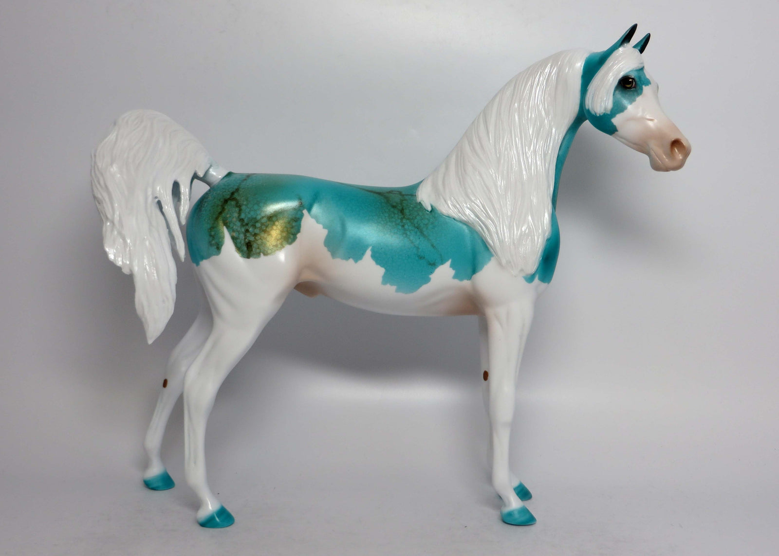 ARIZONA-LE-5 SPLASH TURQUIOSE ARABIAN EQ 2018